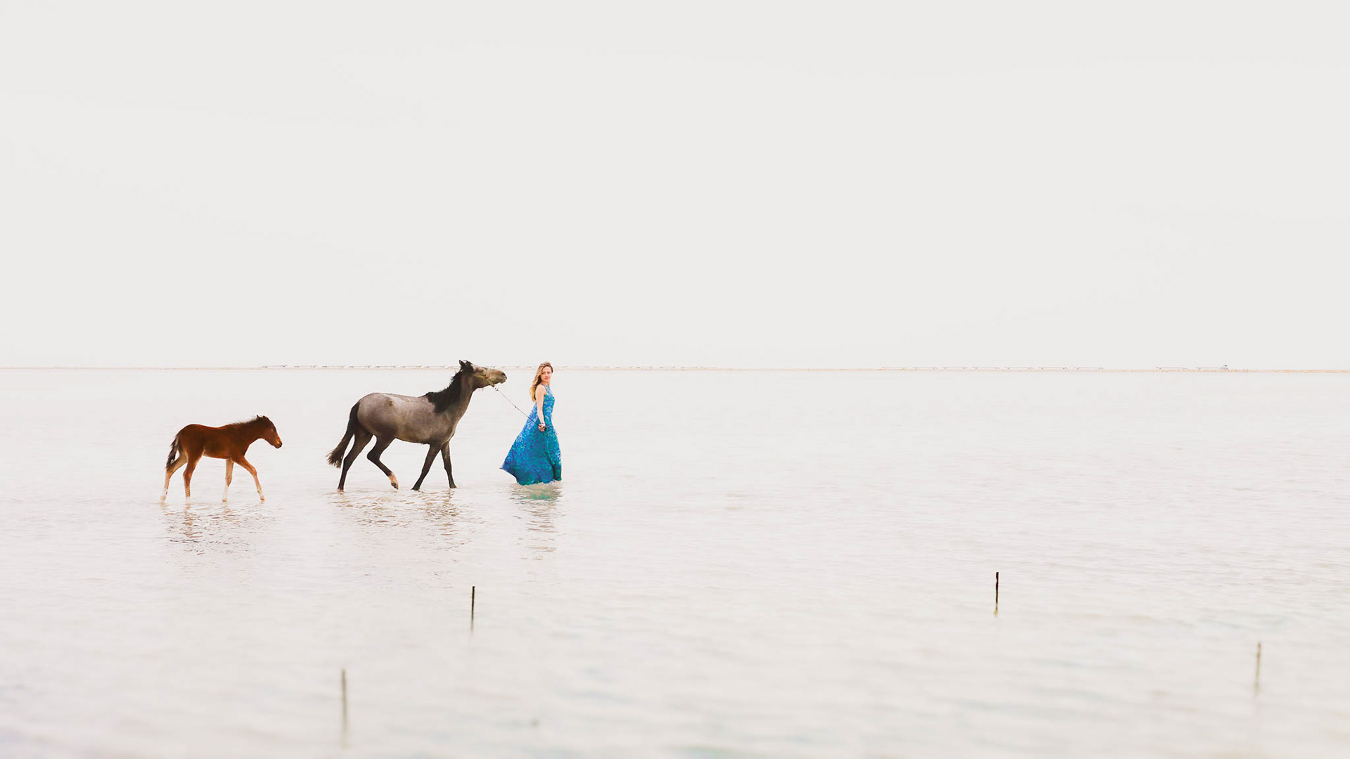 Woman walking with Yılkı horses on Tuz Gölü