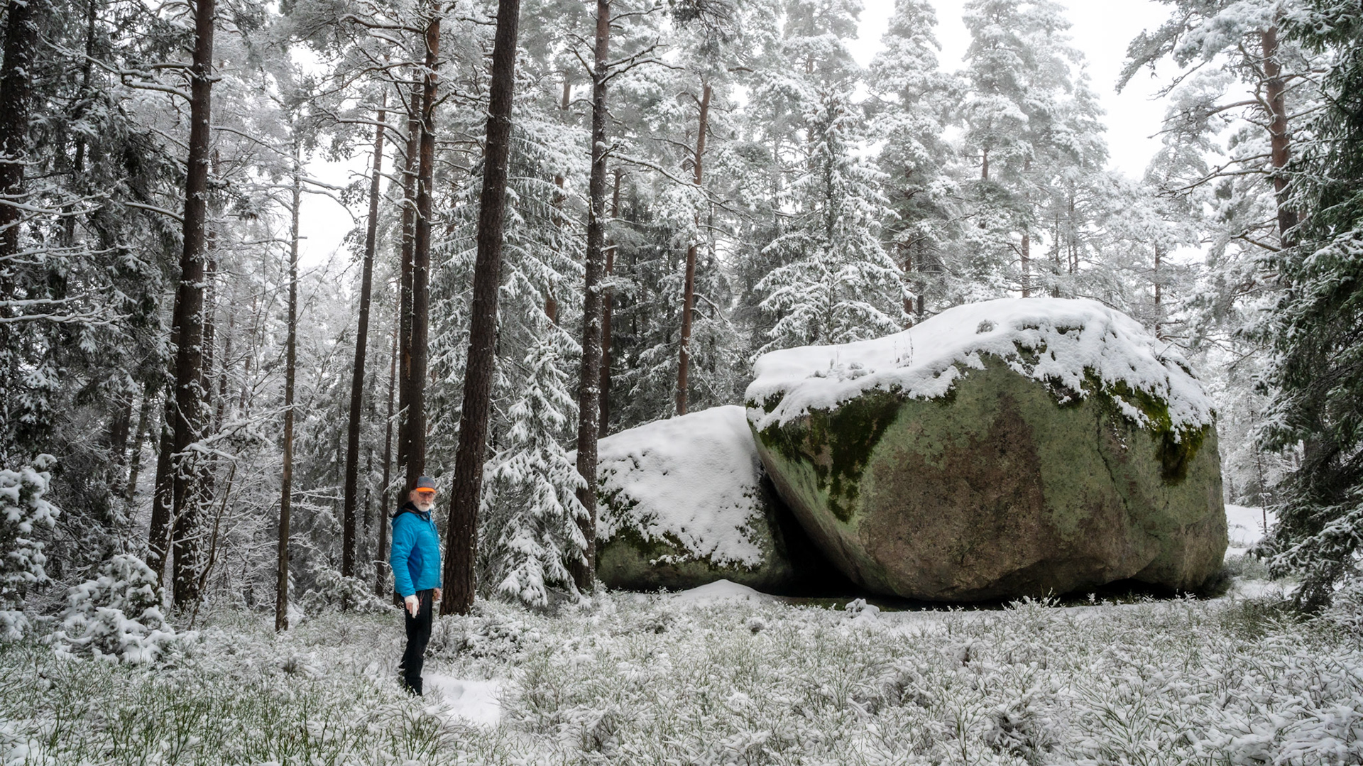 There are boulders like this throughout the forest.