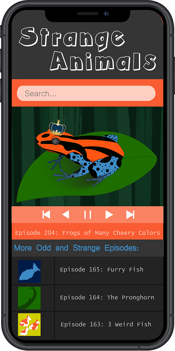 App Design