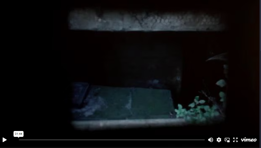 Link to external video of the installation on Vimeo