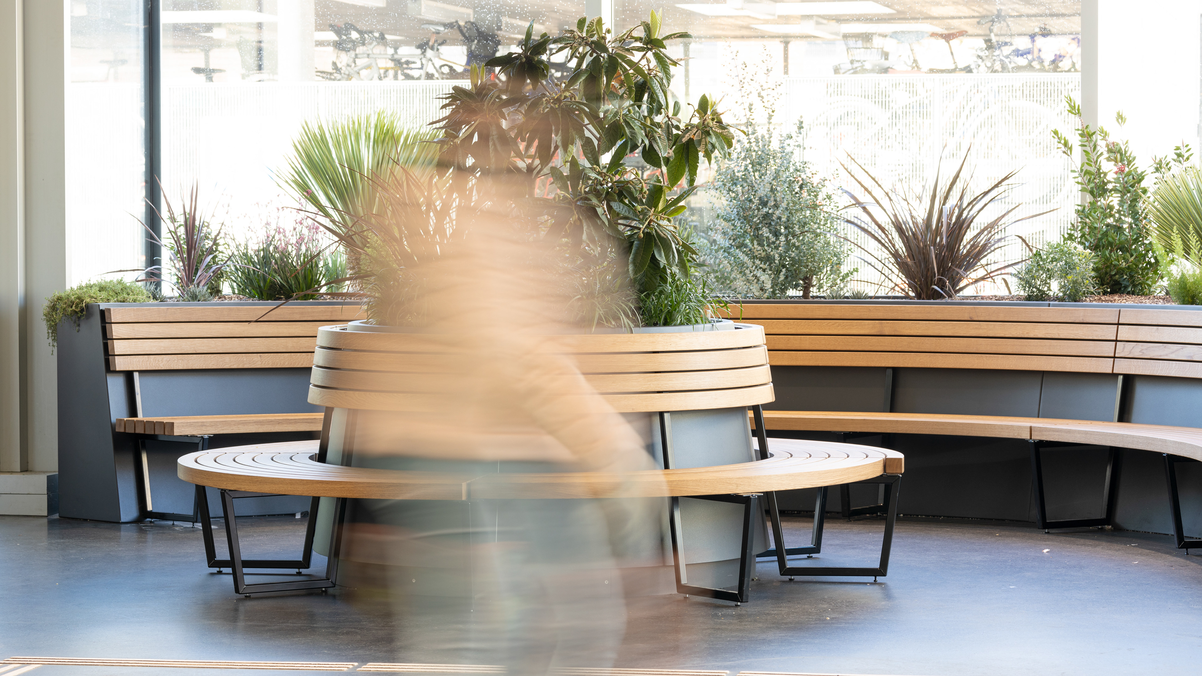 MKPHOTO, Architekturfotograf aus Aarau, SBB Bahnhof Aarau, runde Holz-Möblierung mit integrierter Bepflanzung. 