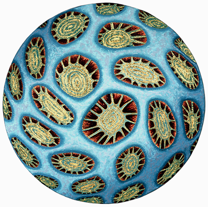 Coral  Diameter 24"  Oil on Shaped Canvas