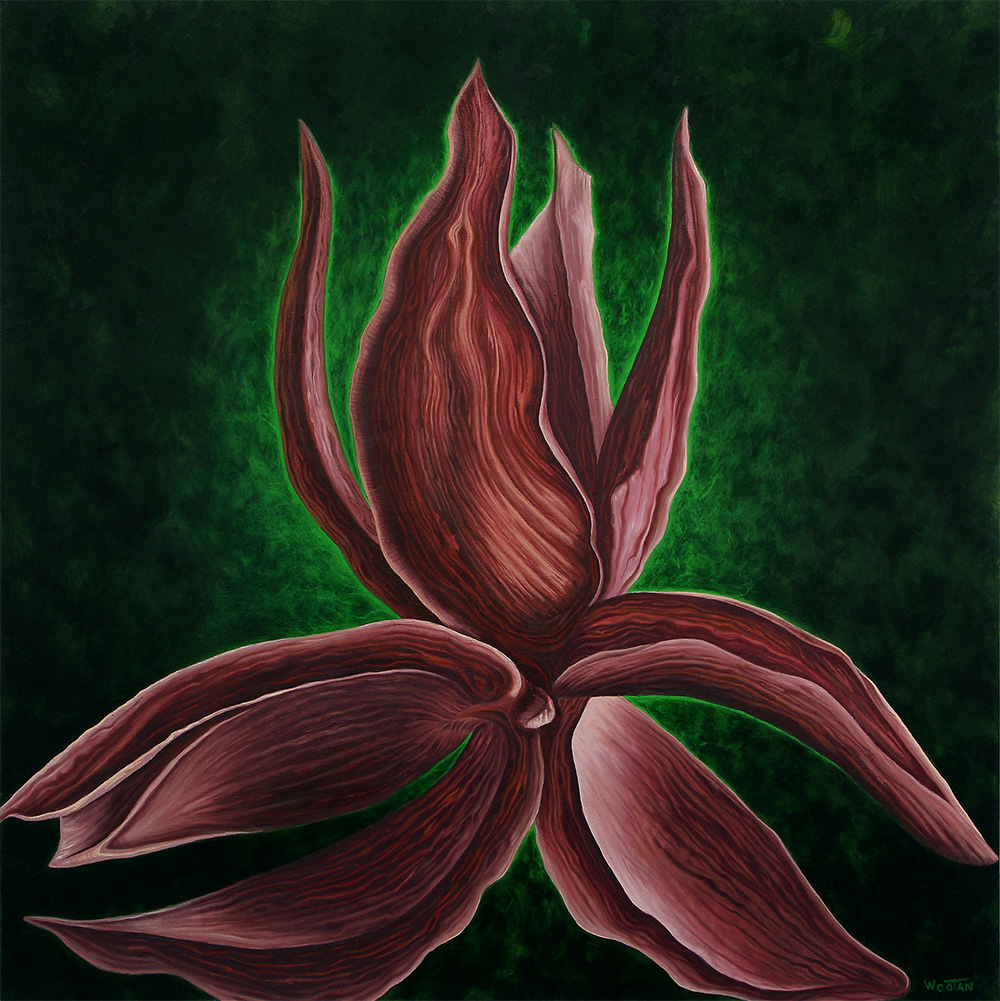 Pecan Husk   30"h x 30"w  Oil on Canvas