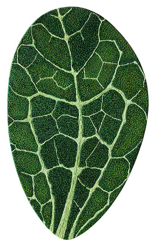 Leaf   15"h  Oil on Shaped Canvas