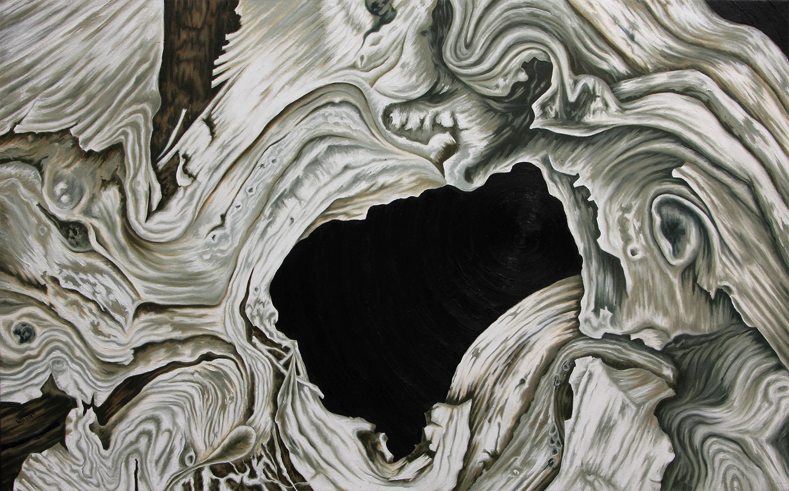 Cedar Stump  30"h x 48"w  Oil on Canvas