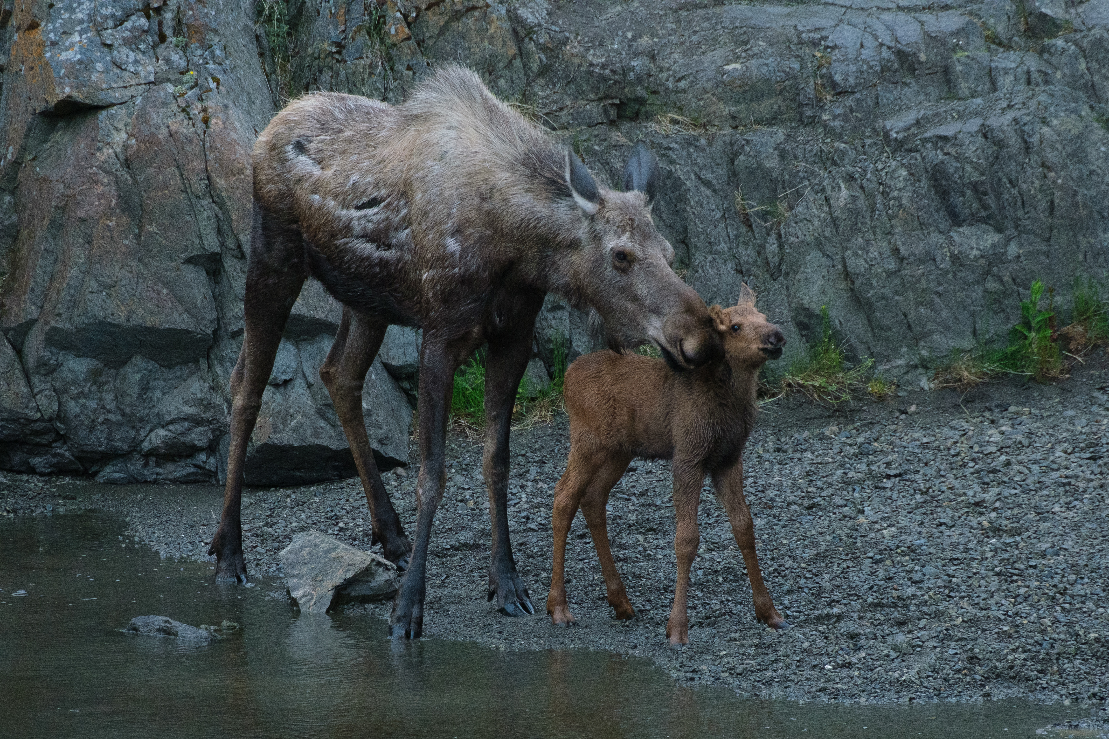 Momma snuggling baby