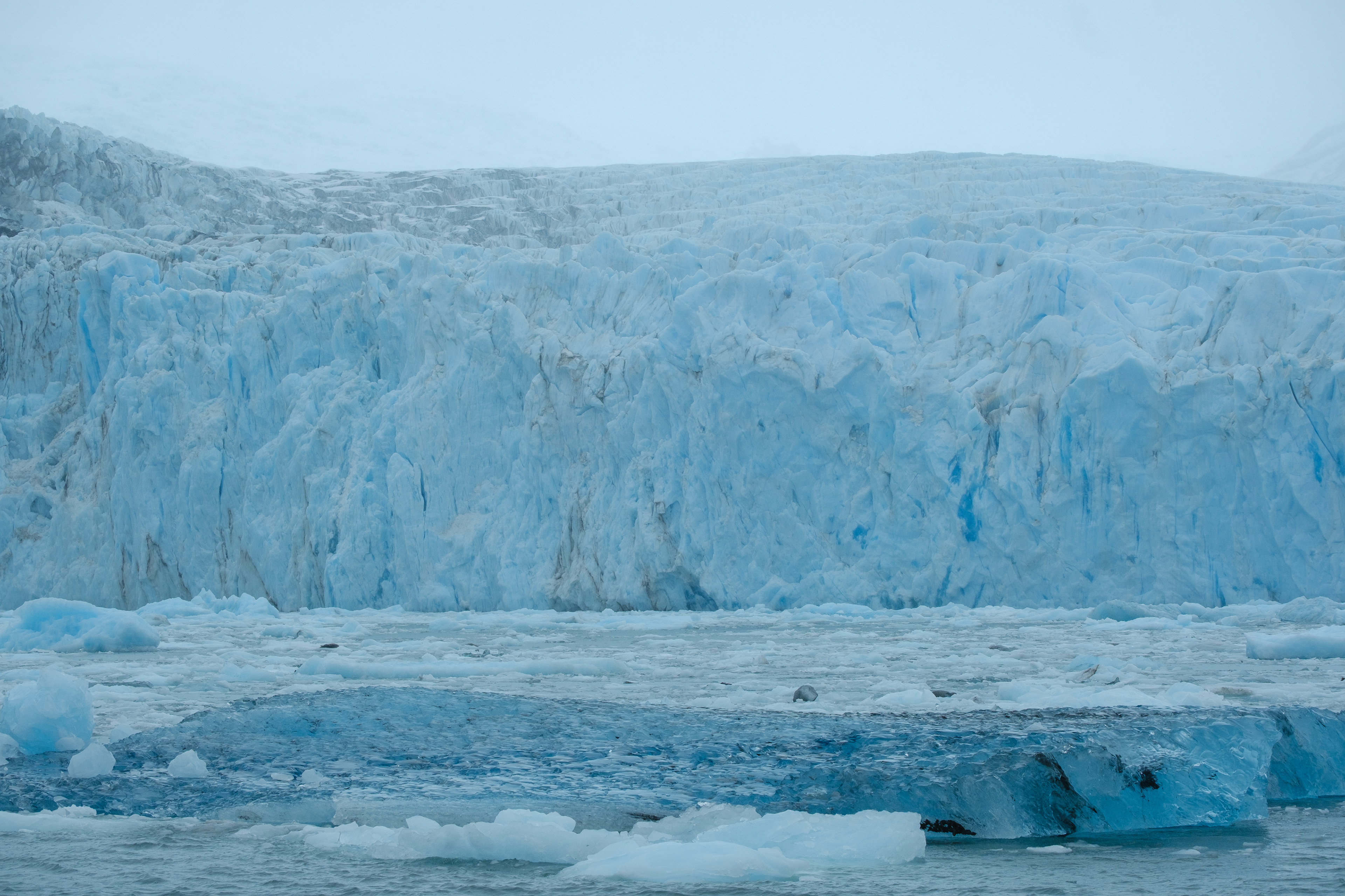 Surprise Glacier (ISO 640, f/8, 1/800 sec, 70mm, M EC 1)