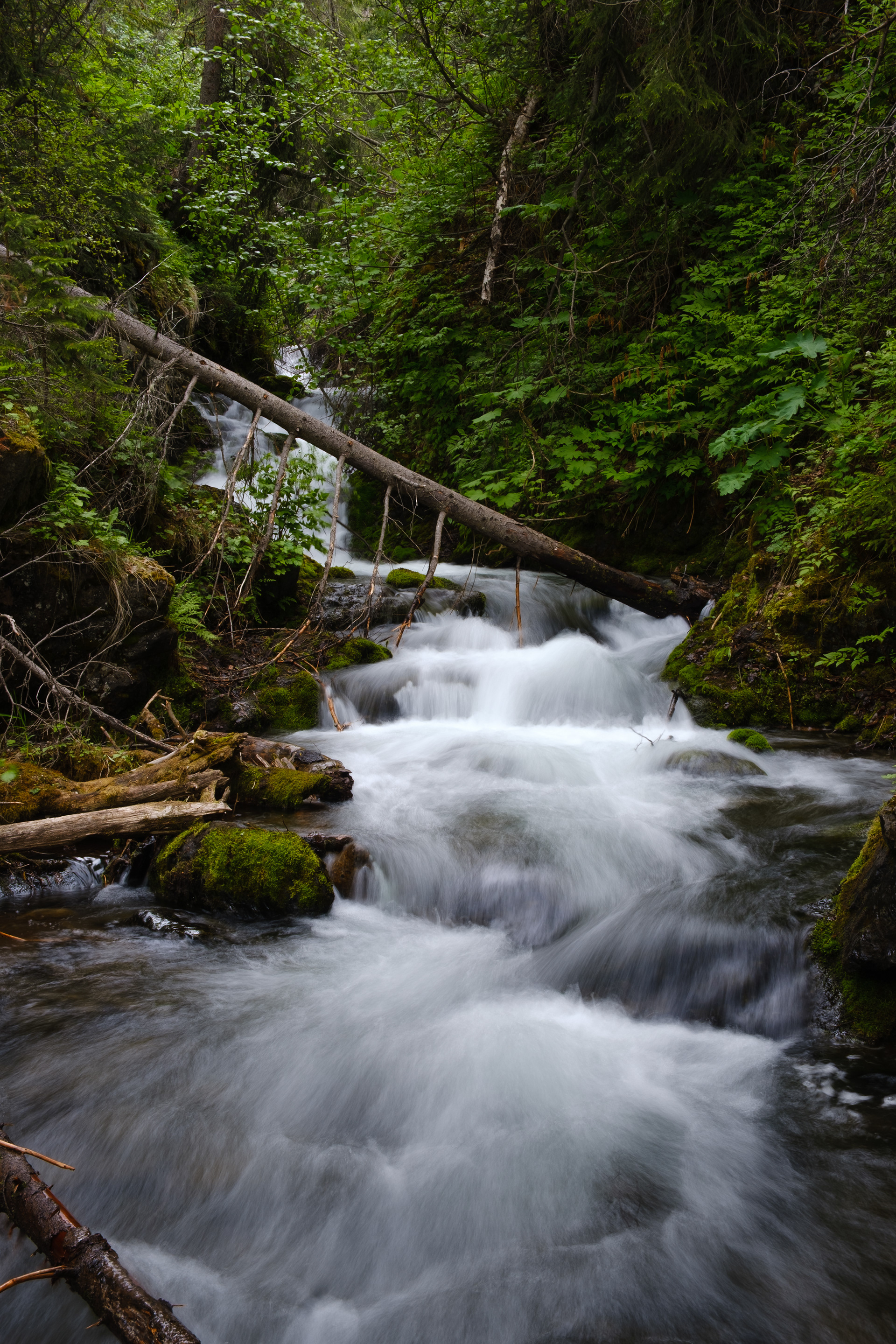 Upper McHugh Creek (ISO 80, f/16, 0.5 sec, 27.7mm, Av EC -0.67)