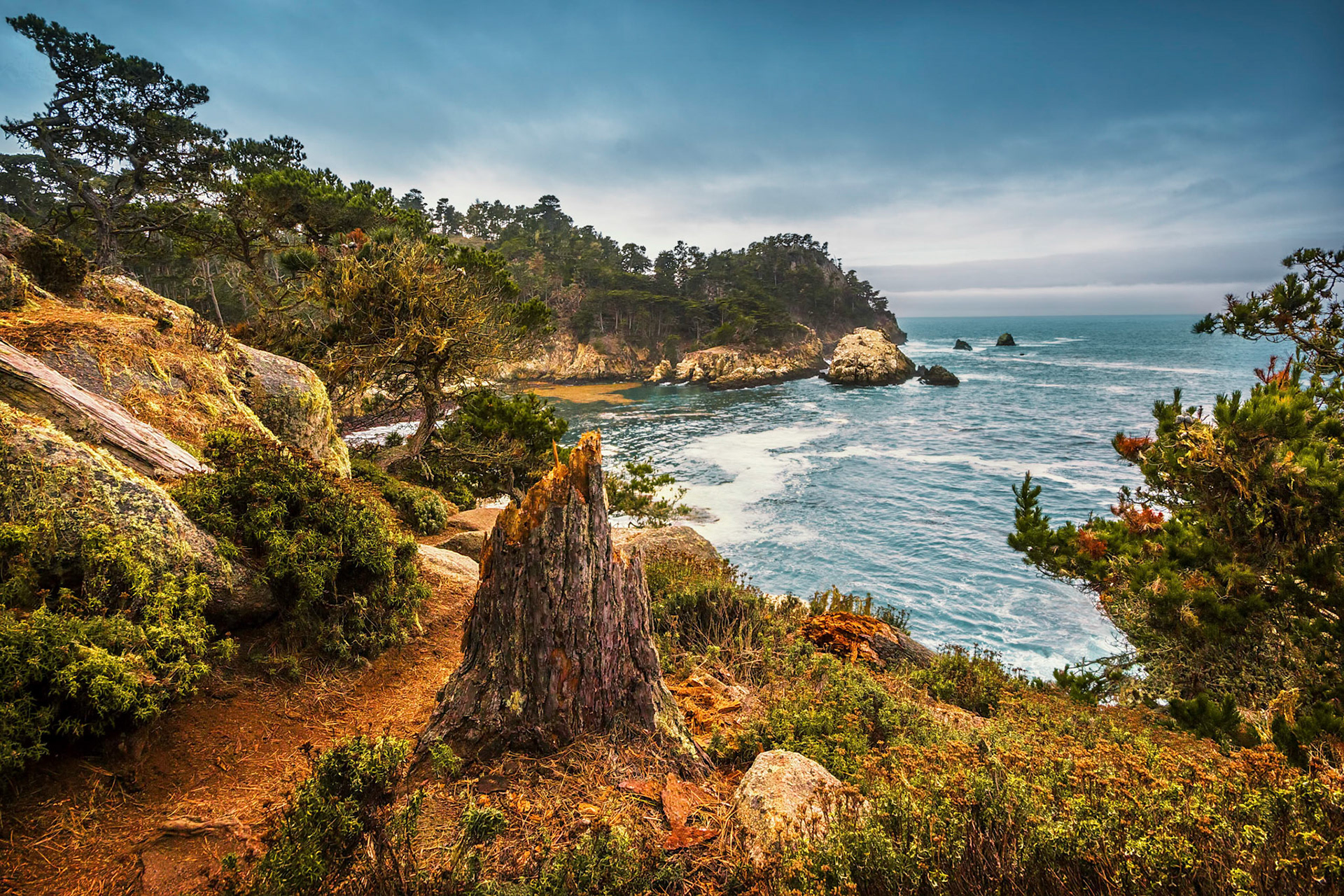 Originally published:
http://www.phototraces.com/deconstructing-photo/the-tree-stub-at-cypress-cove-in-point-lobos-california/