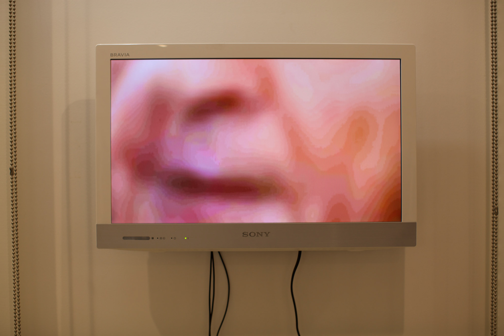 Verb (video)