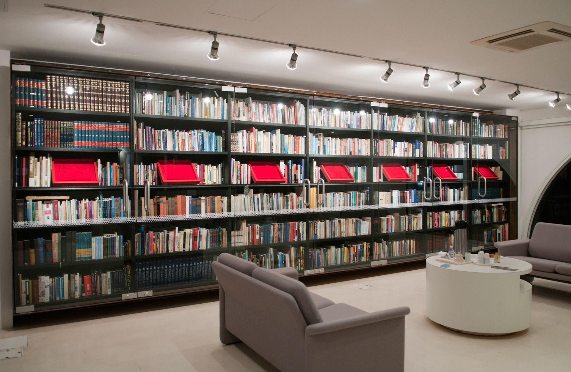 Library intervention (ph. Edouard Fraipont)