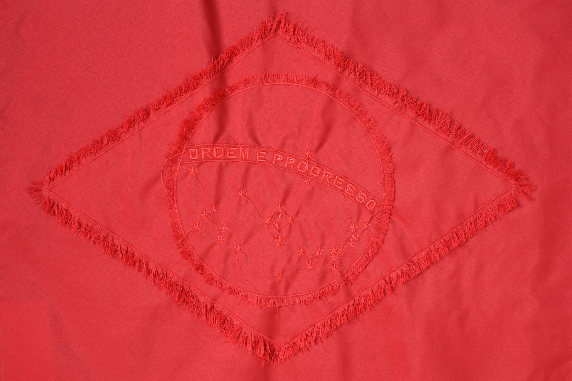 venas/ veias/ veins/ veines (detail, Brazilian flag)