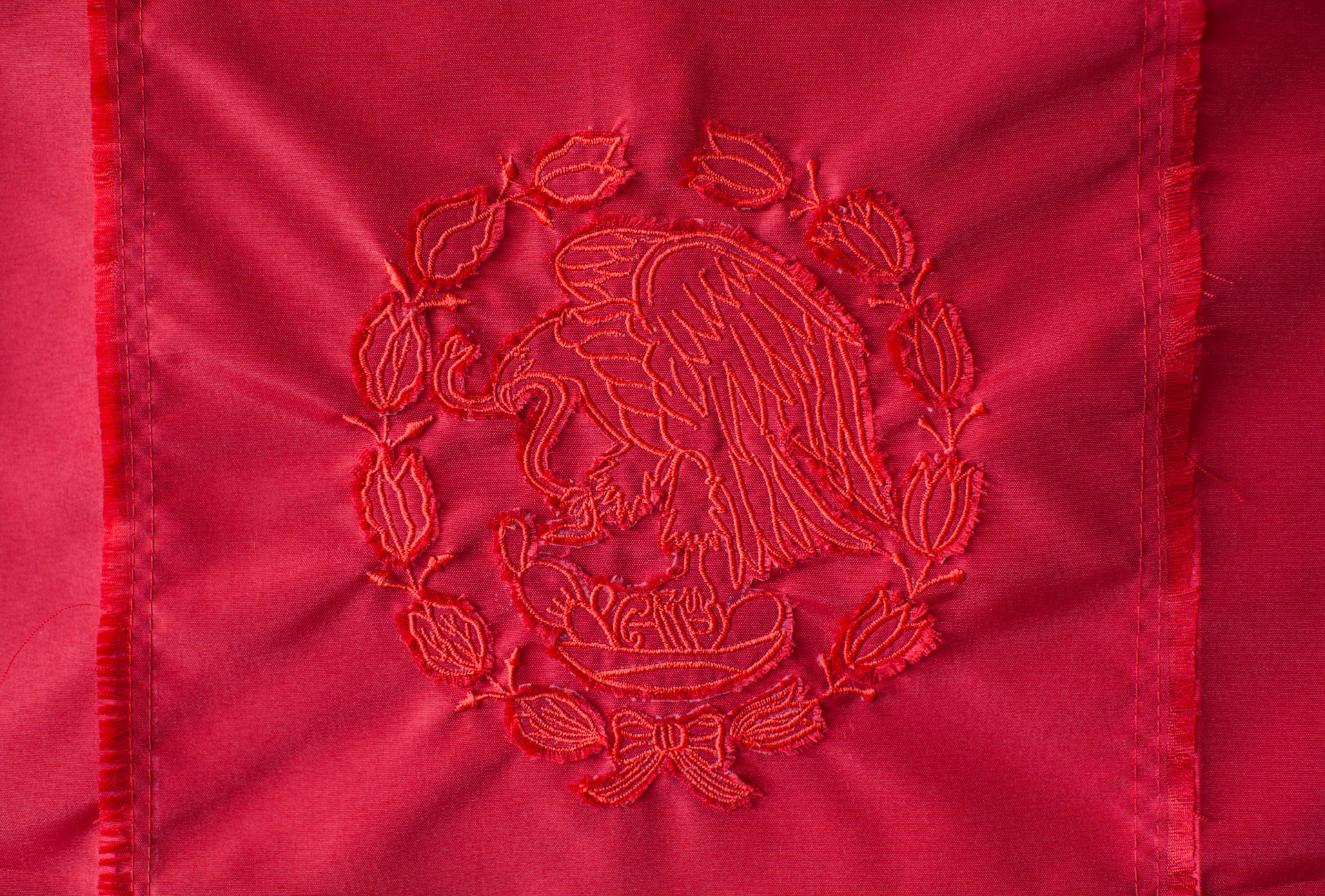 venas/ veias/ veins/ veines (detail, Mexican flag)