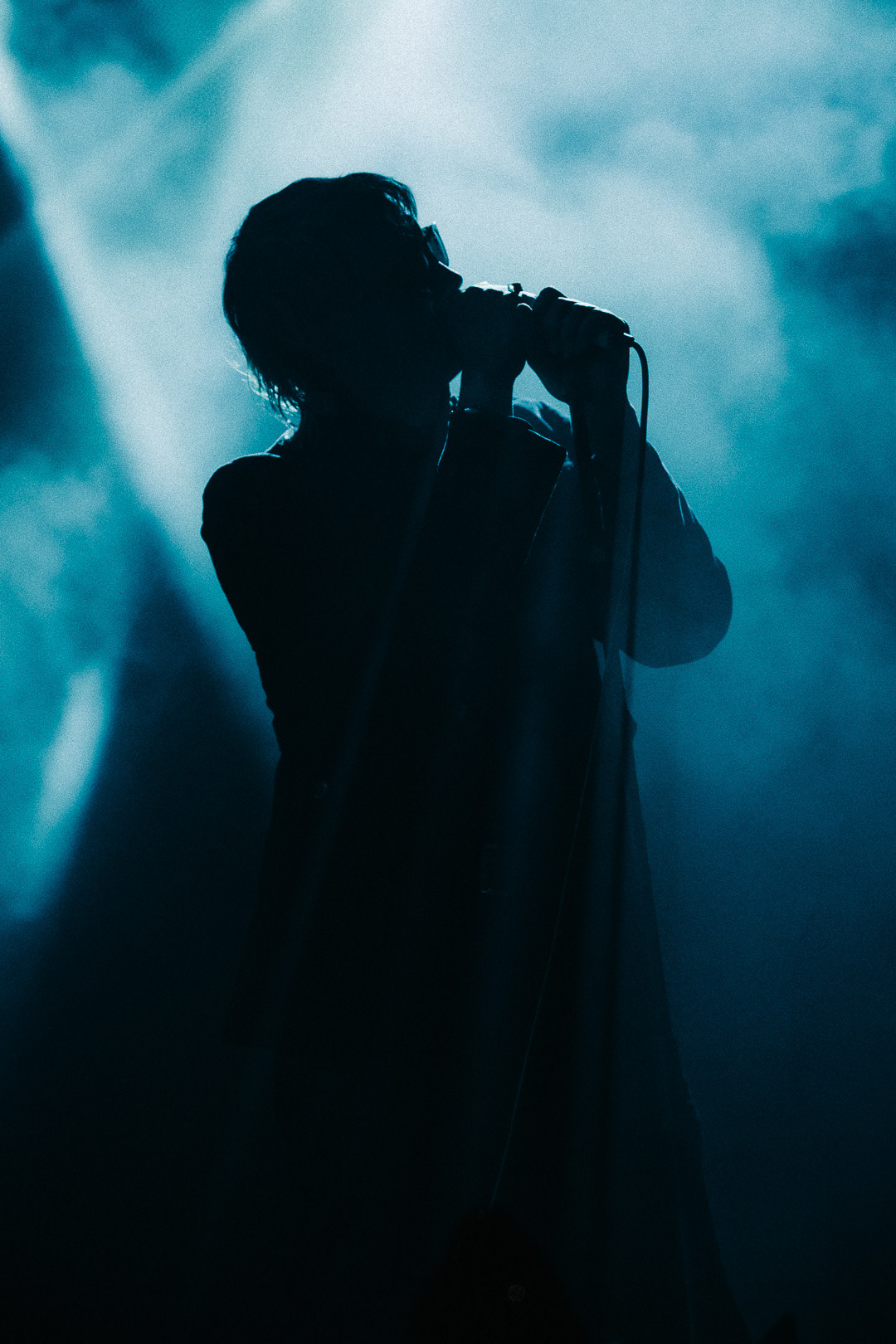 The Voidz