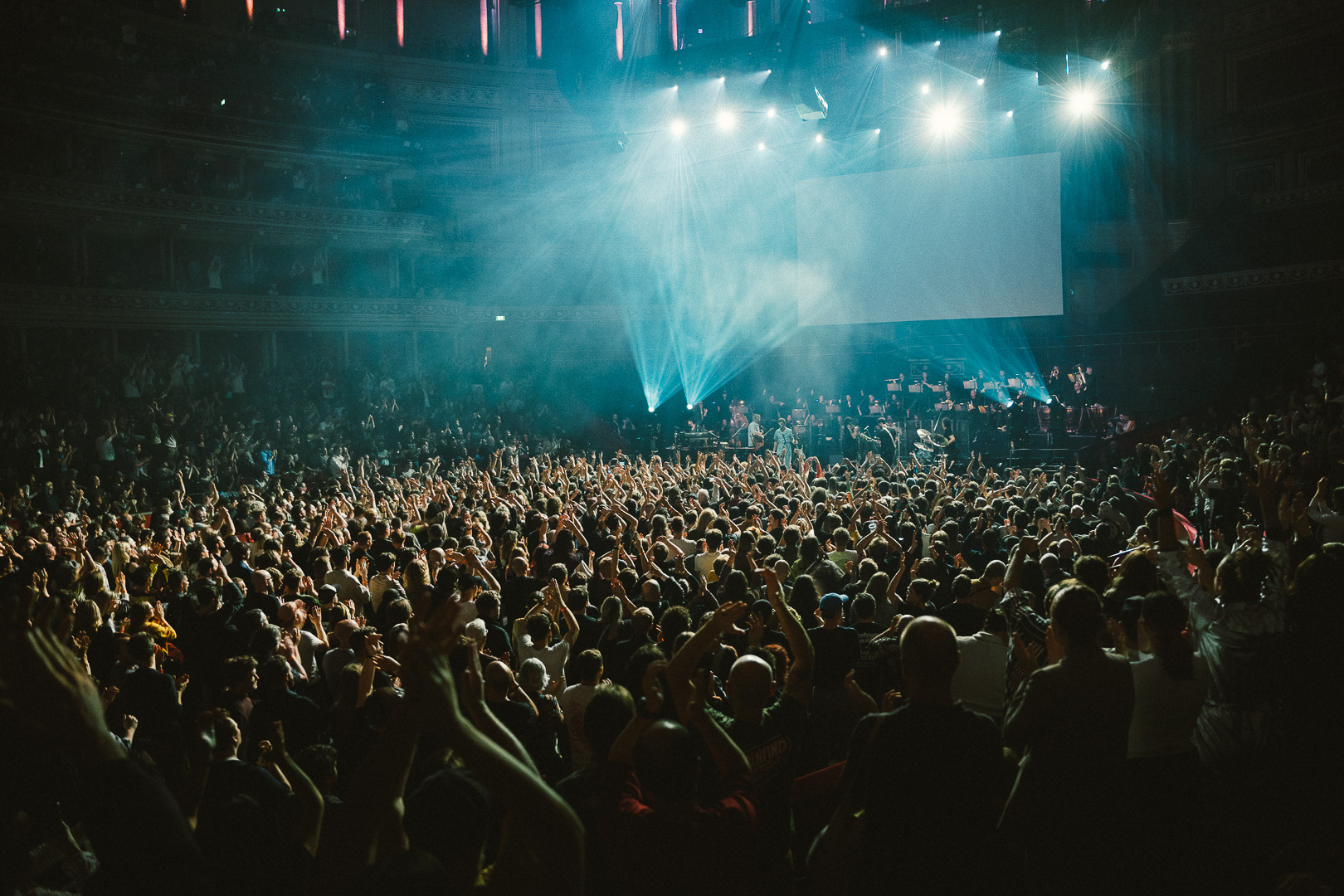 King Gizzard & The Lizard Wizard