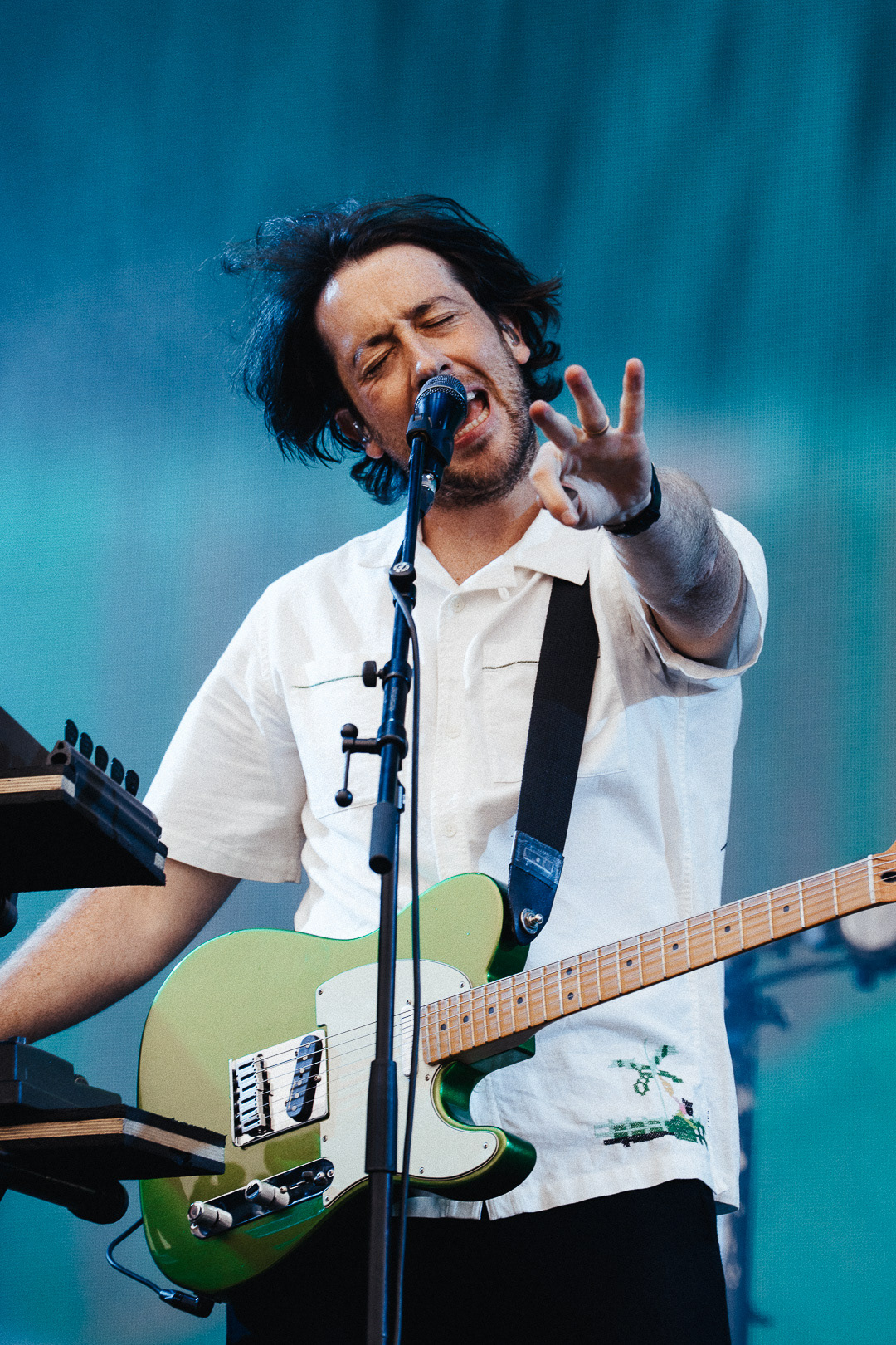 The Wombats