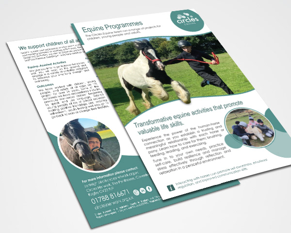 equine projects