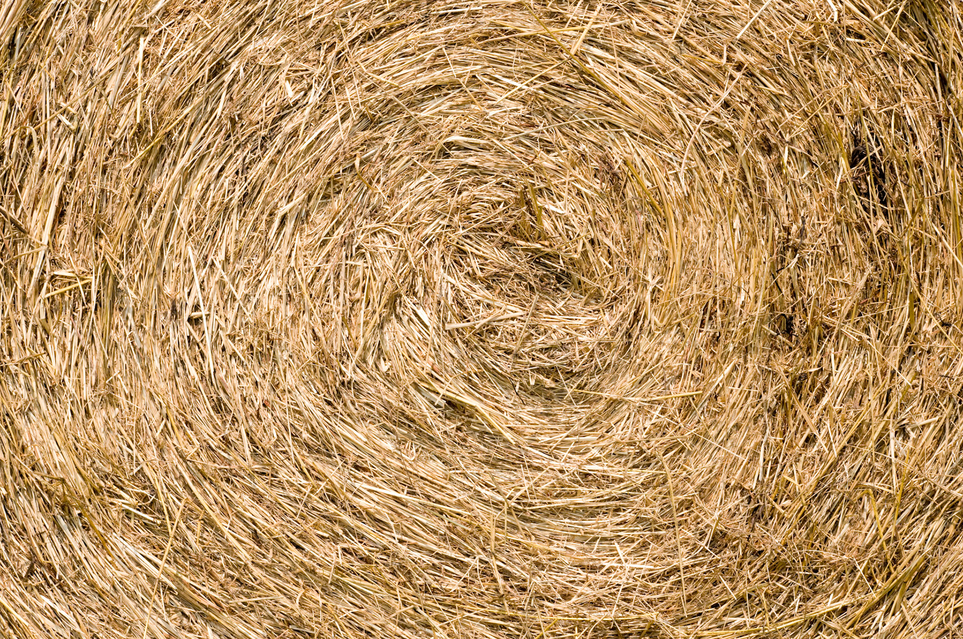 Background Image of Hay Bale