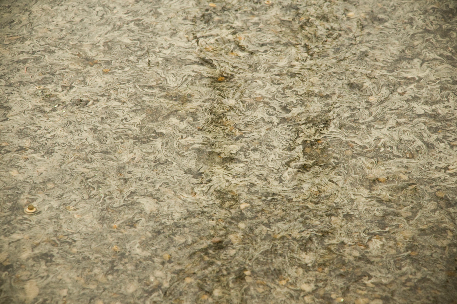 Background Texture Organized Chaos