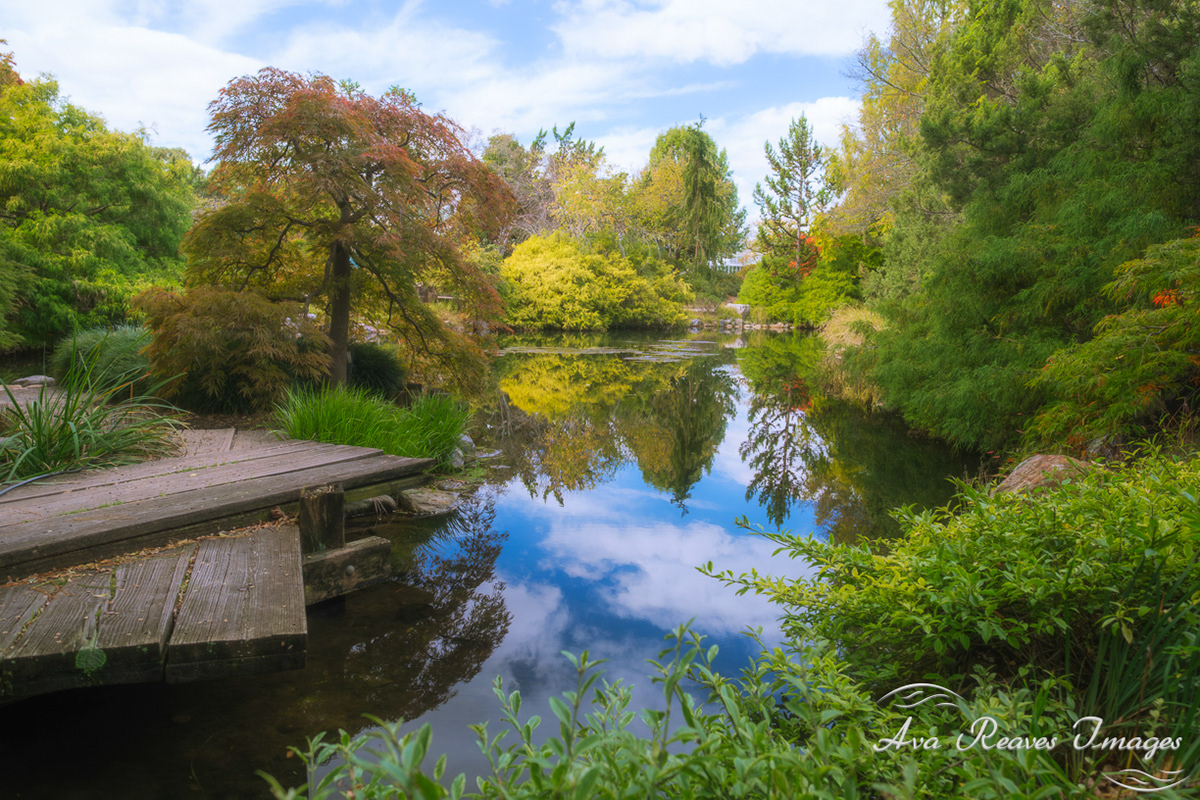 Asian Garden at Lewis Ginter
