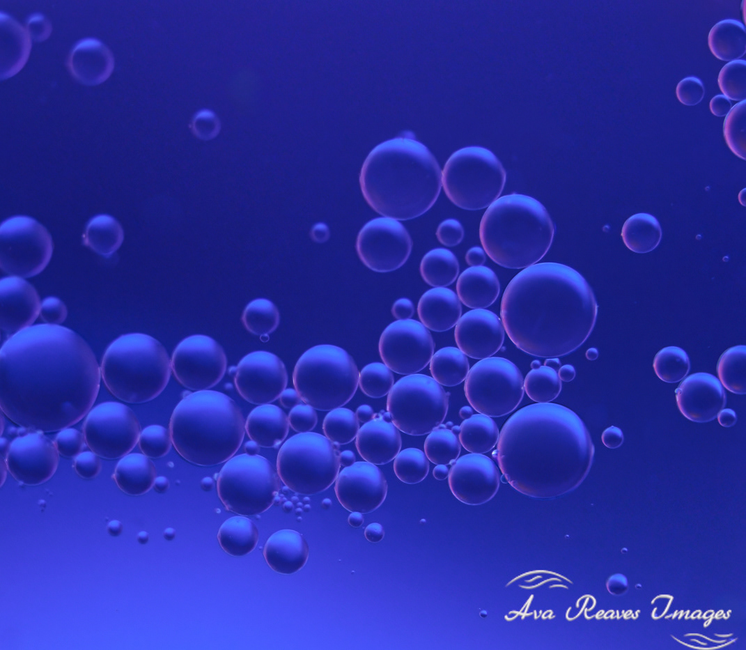 Oil and water droplets creating an abstract of small bubbles that appear to be tiny celestial plants on a purple blue background