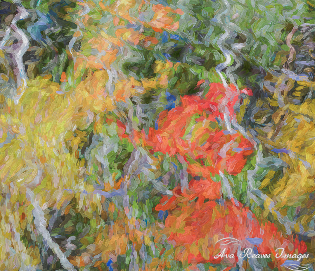 Impressionistic Reflections