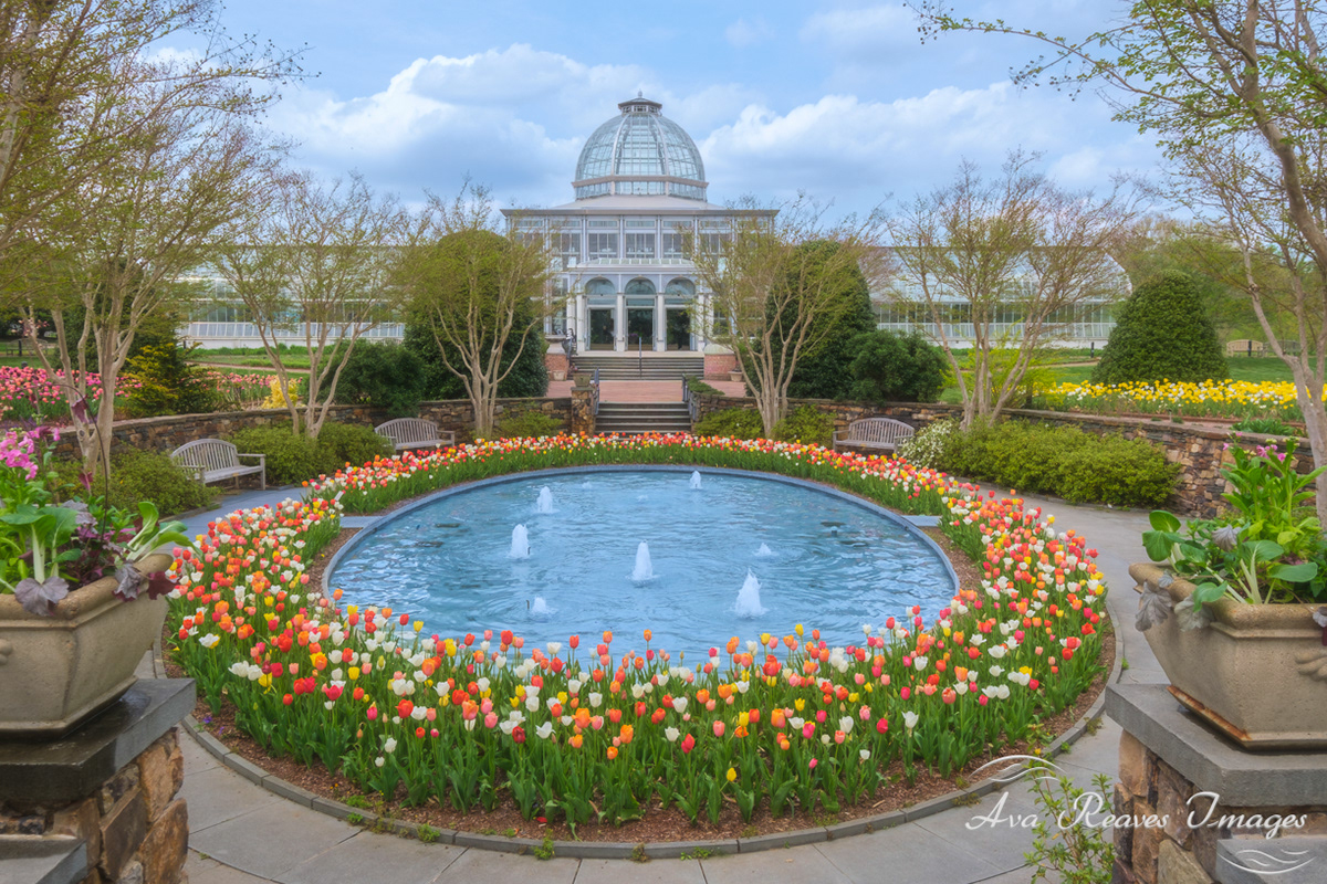 Central Garden at Lewis Ginter Botanical Garden