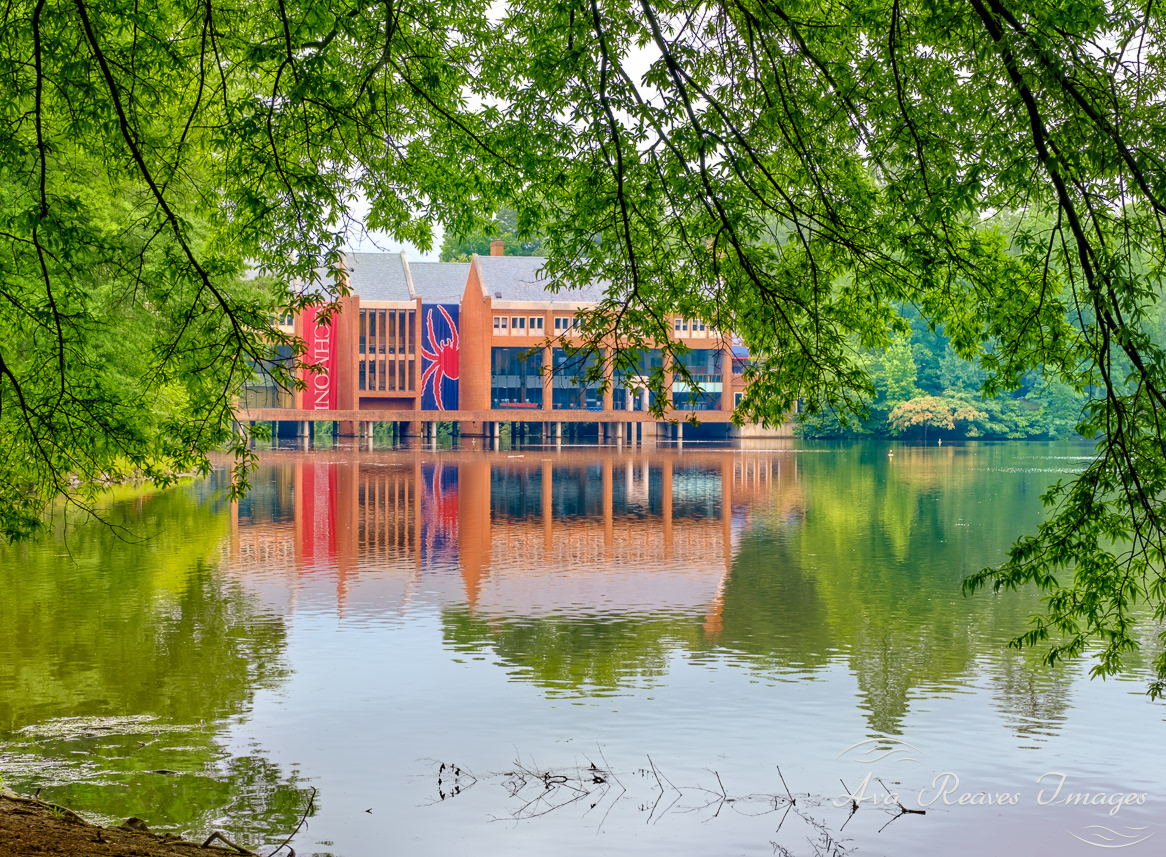 Tyler Haynes Commons