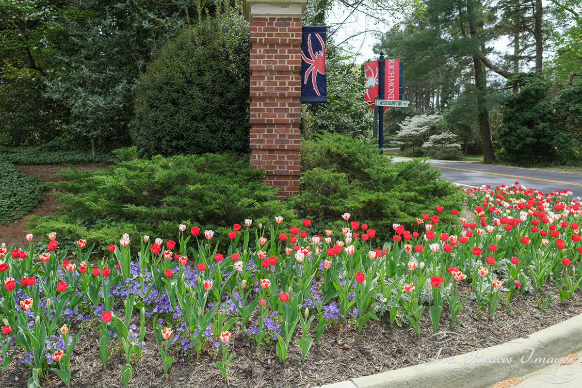 University of Richmond Entrance