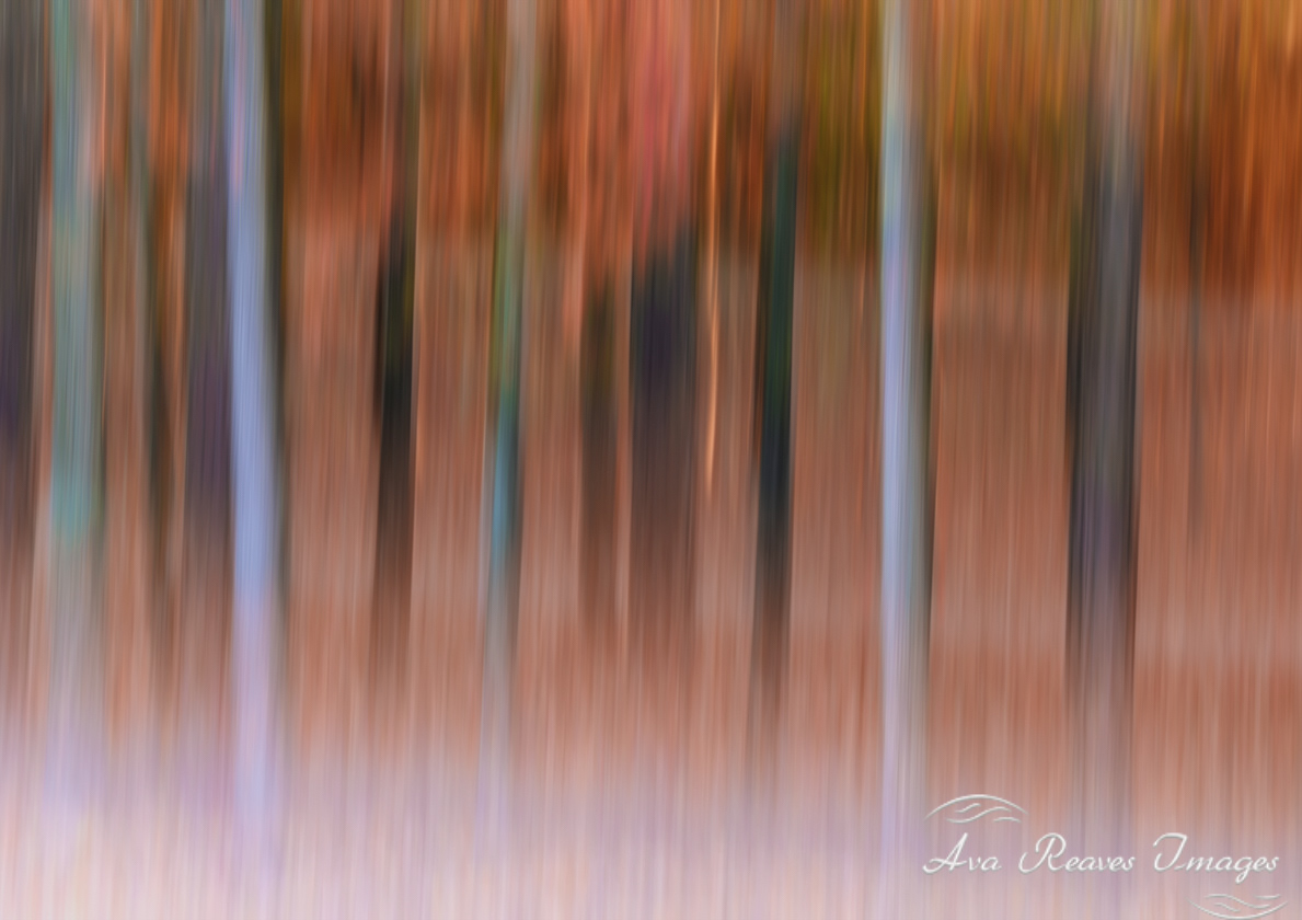 Impressionistic Autumn