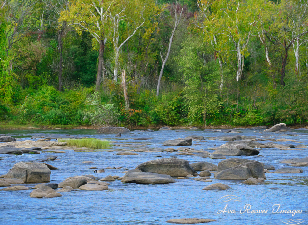 Fall's Edge on The James River