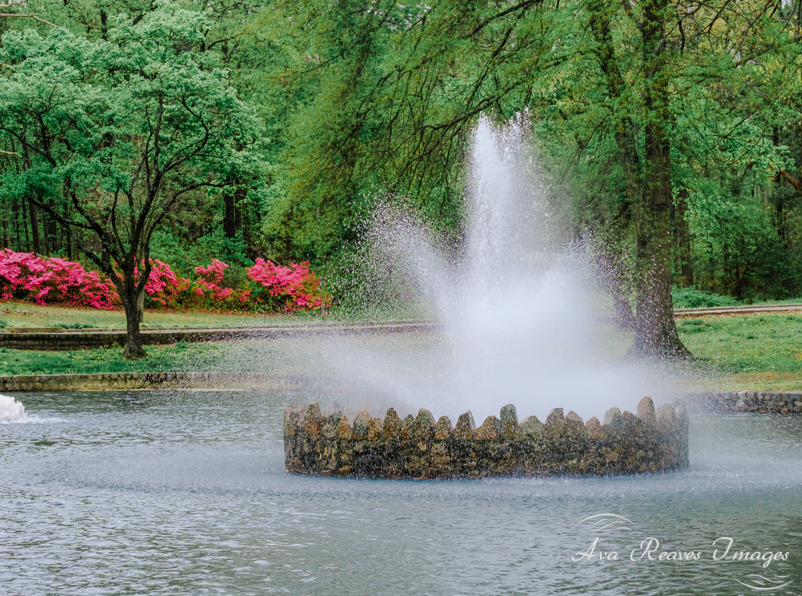 Spring at Joseph Bryan Park