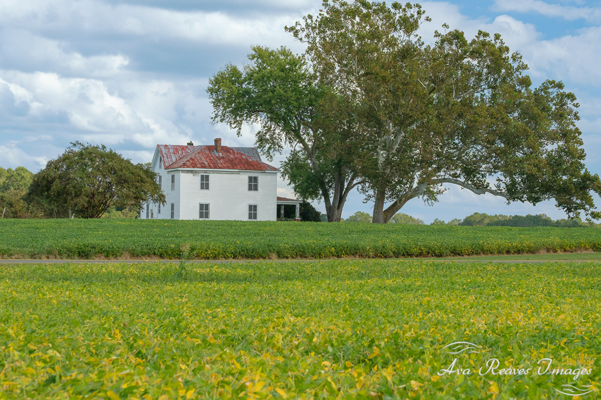 Malvern Hill Farm