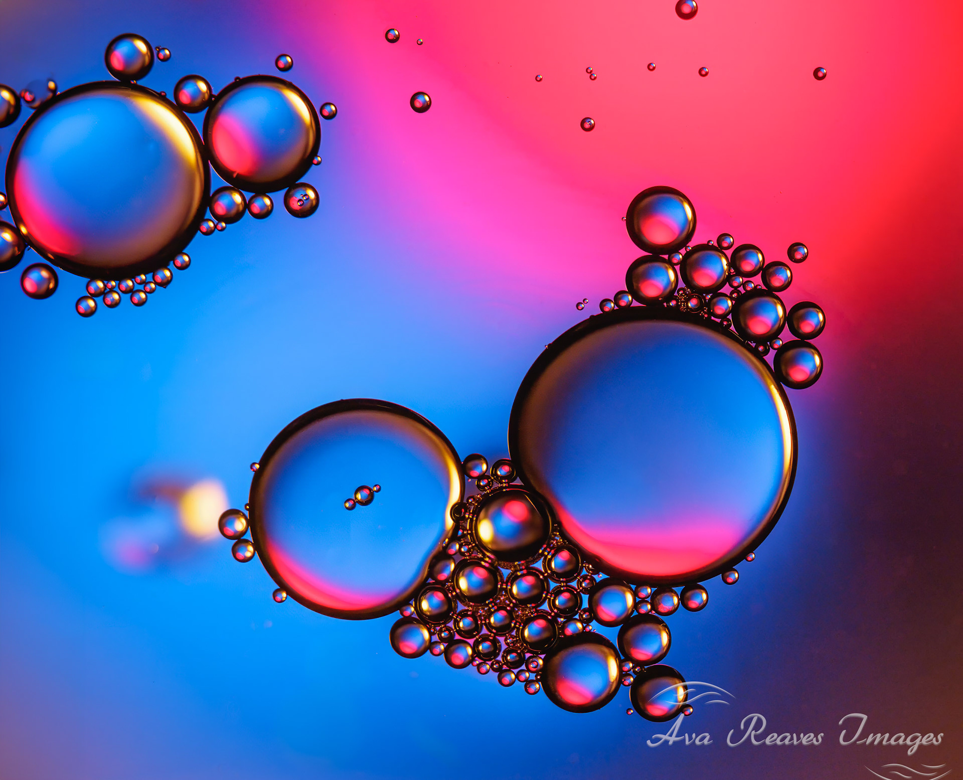 Macro abstract photography showing oil droplets reflecting bright pink and blue colors.