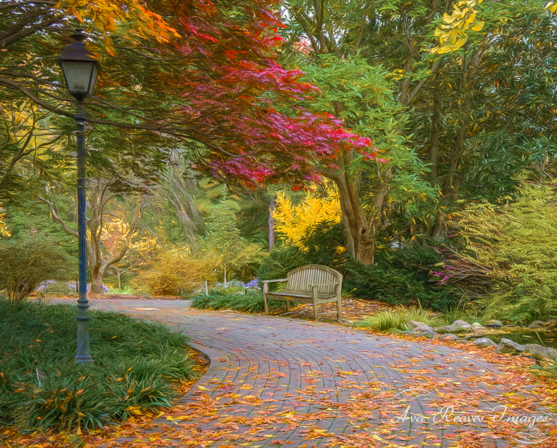 Woodland Walk at Lewis Ginter