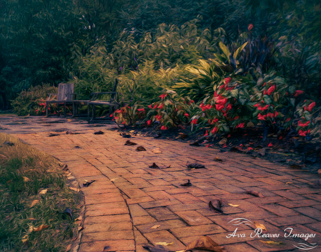 Woodland Walk at Lewis Ginter