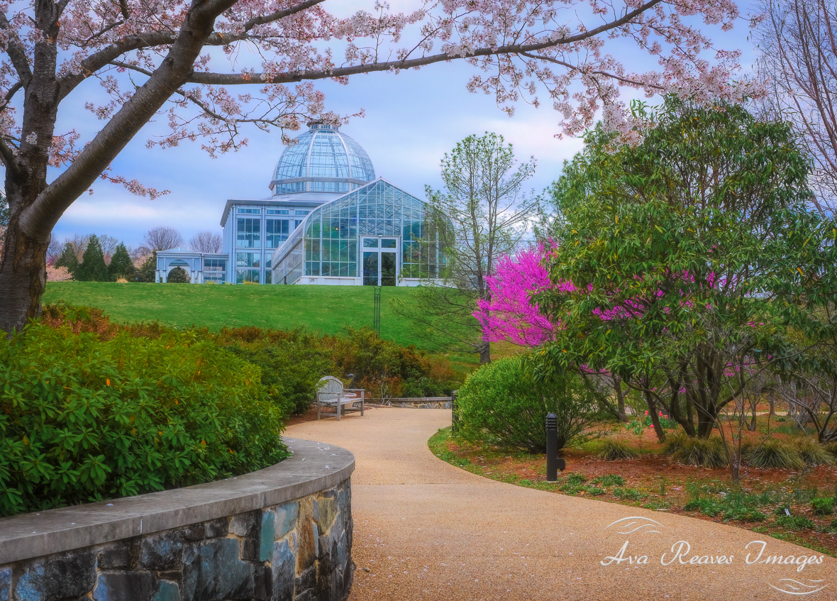A View of the Conservatory at Lewis Ginter