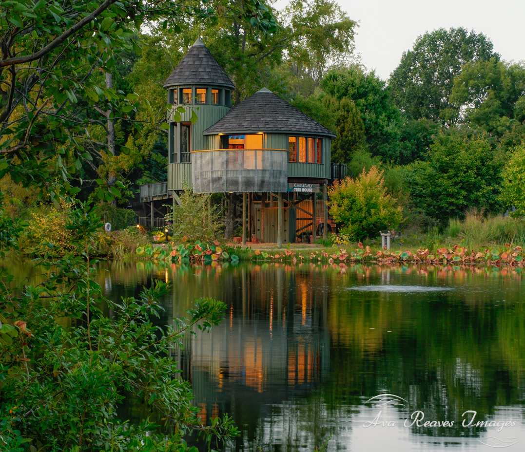 The Klaus Family Tree House at Lewis Ginter