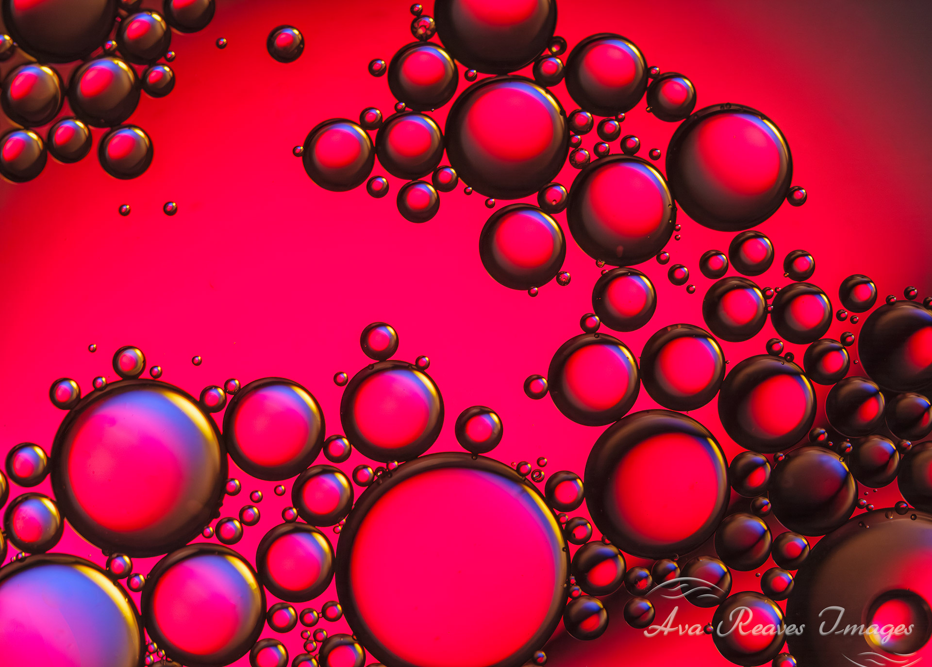  Abstract macro photo of oil and water bubbles highlighted with sharp black edges on a red background