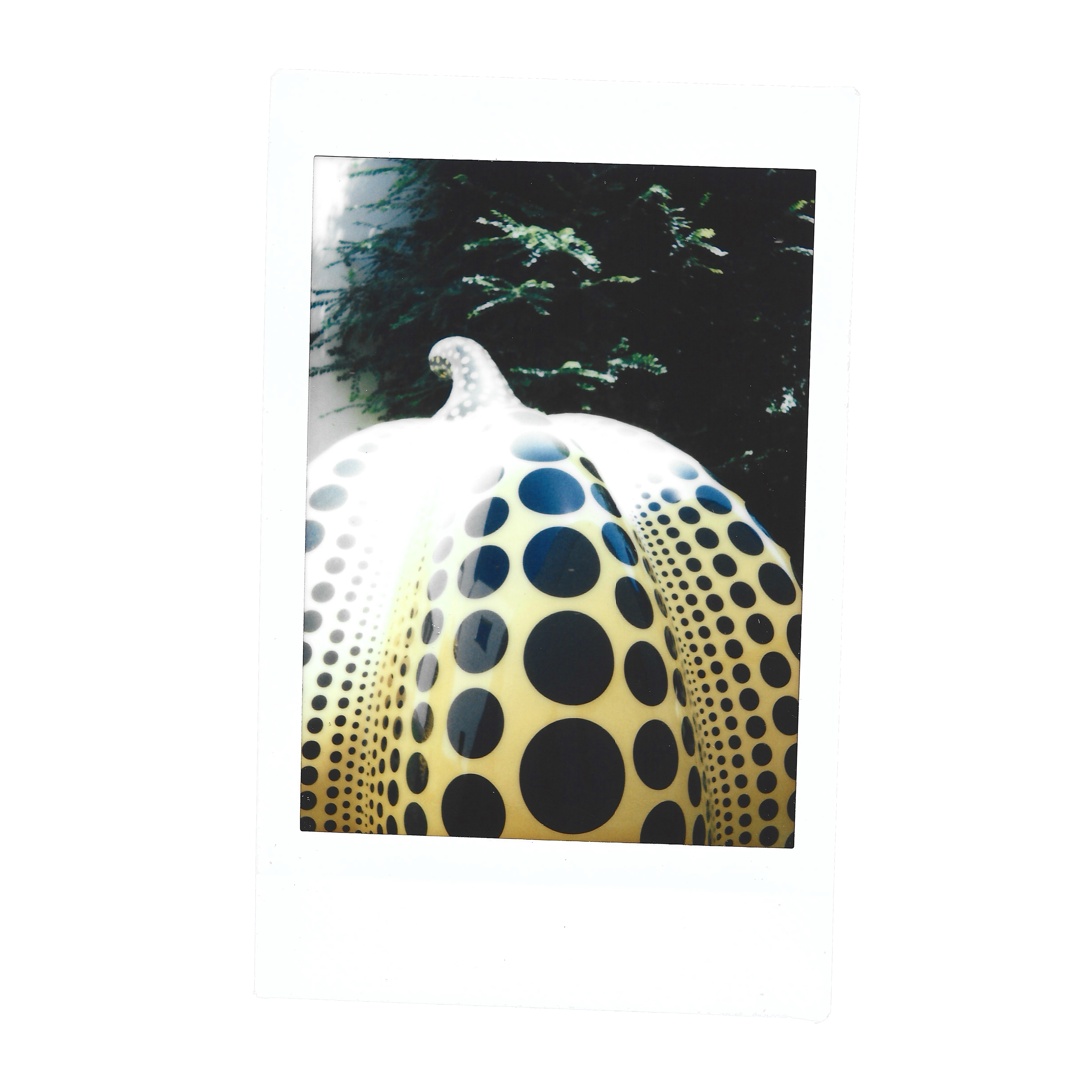 Serralves | 2024