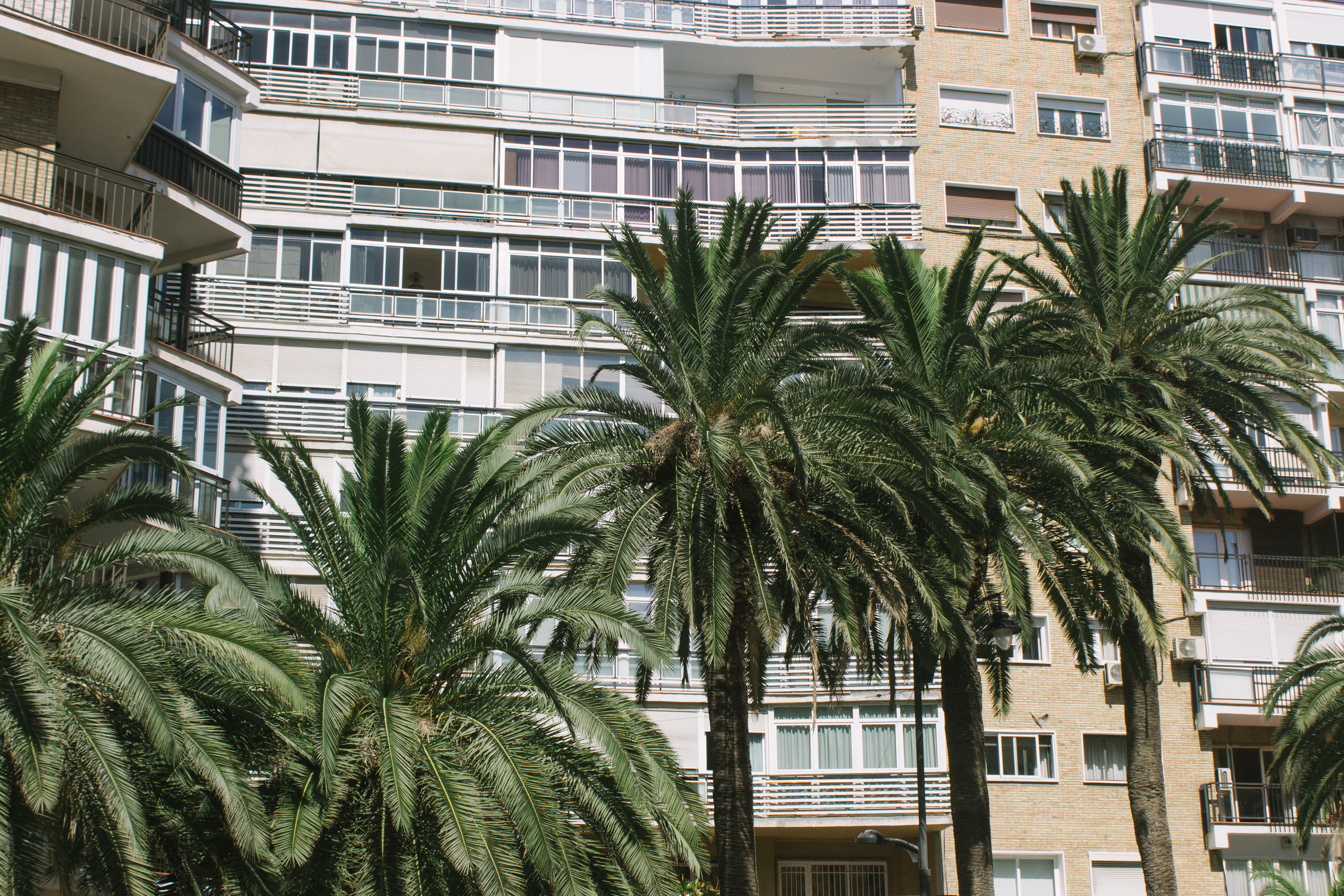 Malaga | 2021