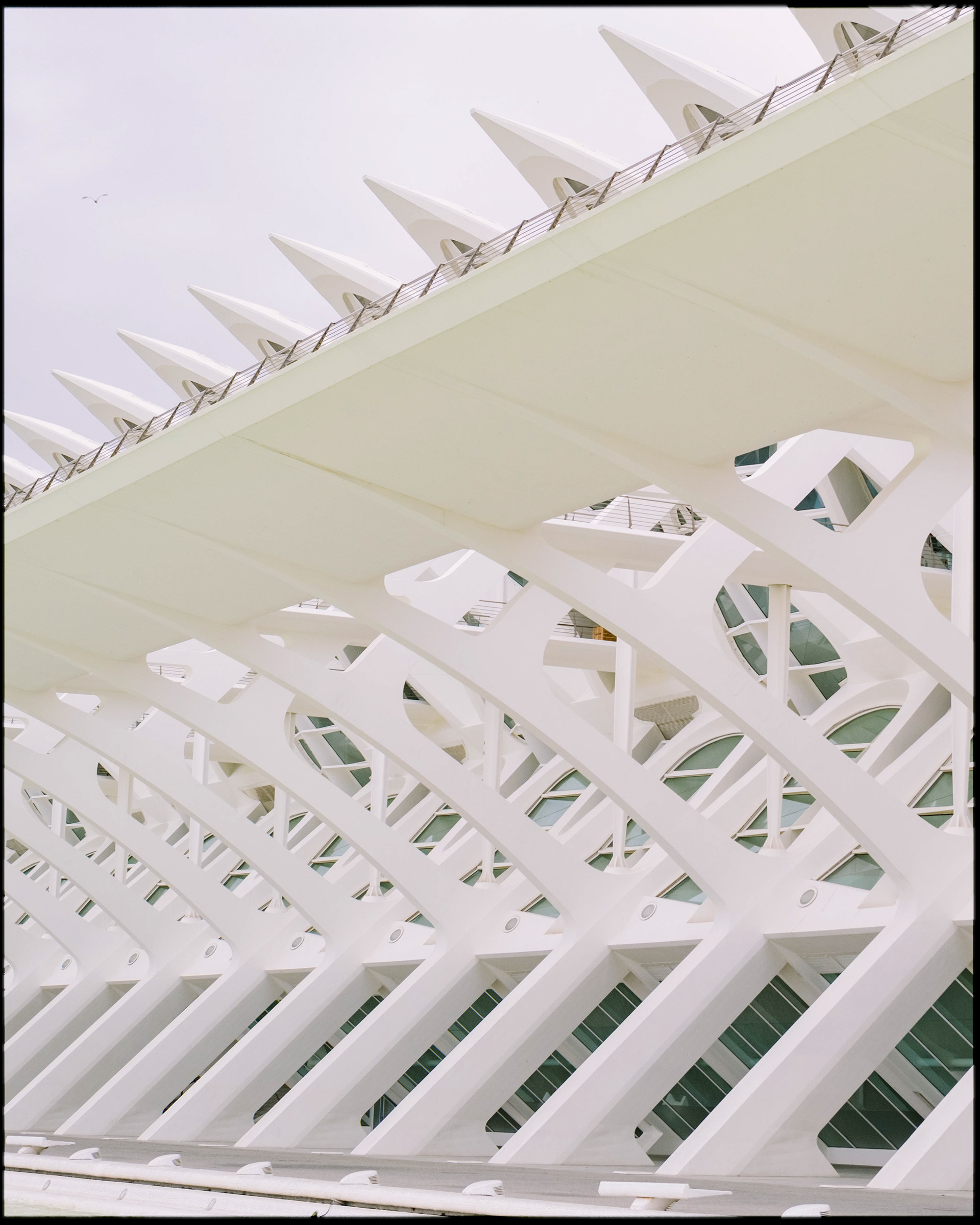 Valencia | 2024