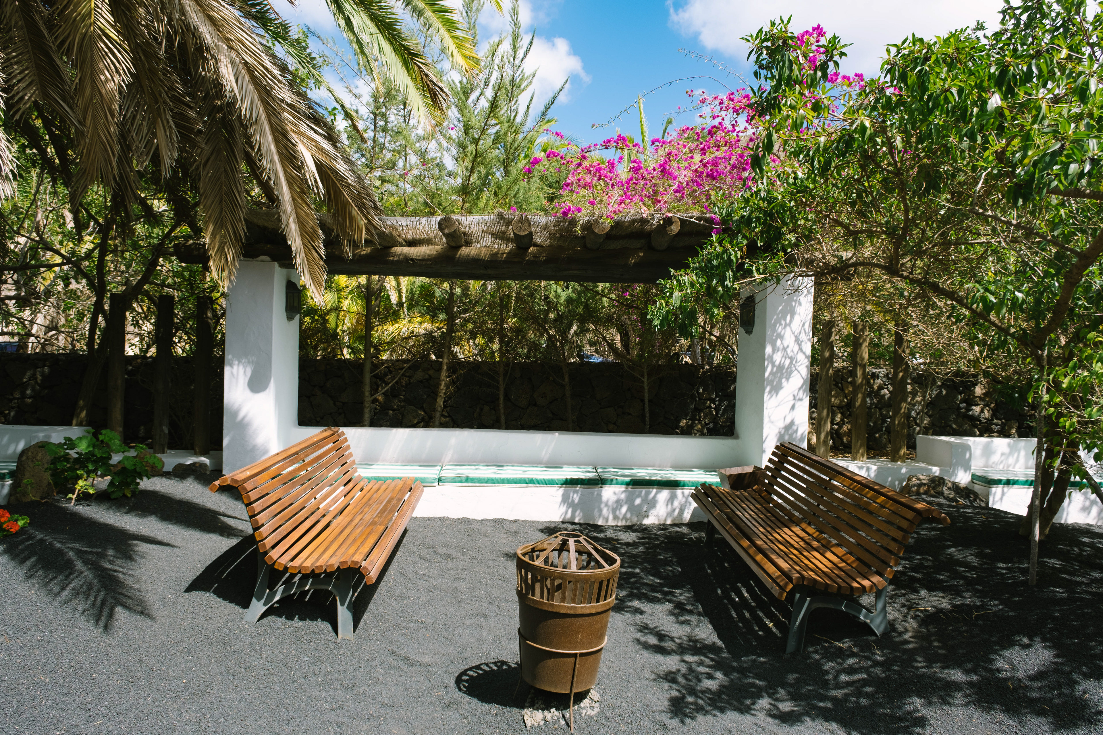 Haría, Lanzarote | 2024