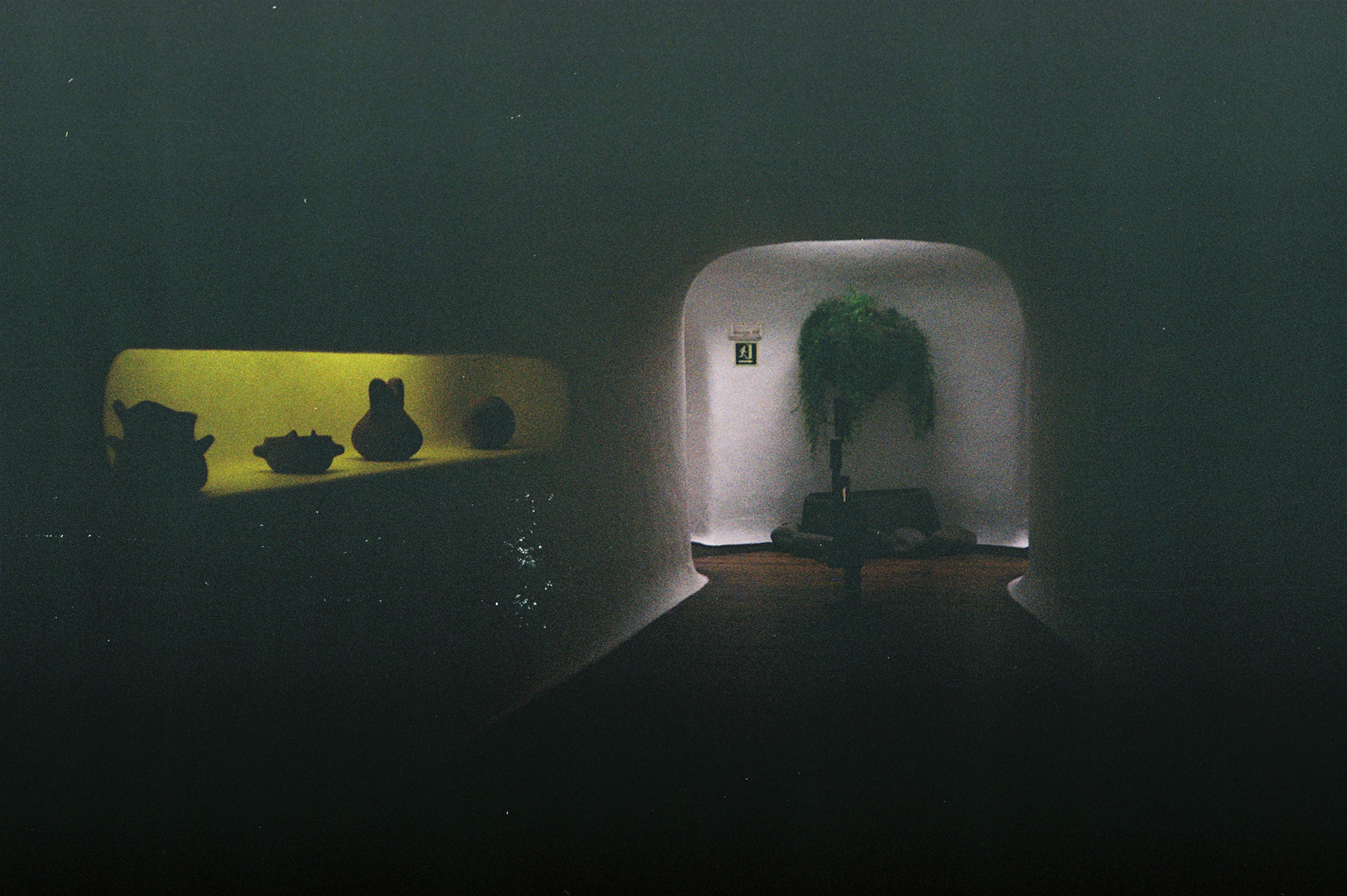 Film 35mm | Lanzarote 2024