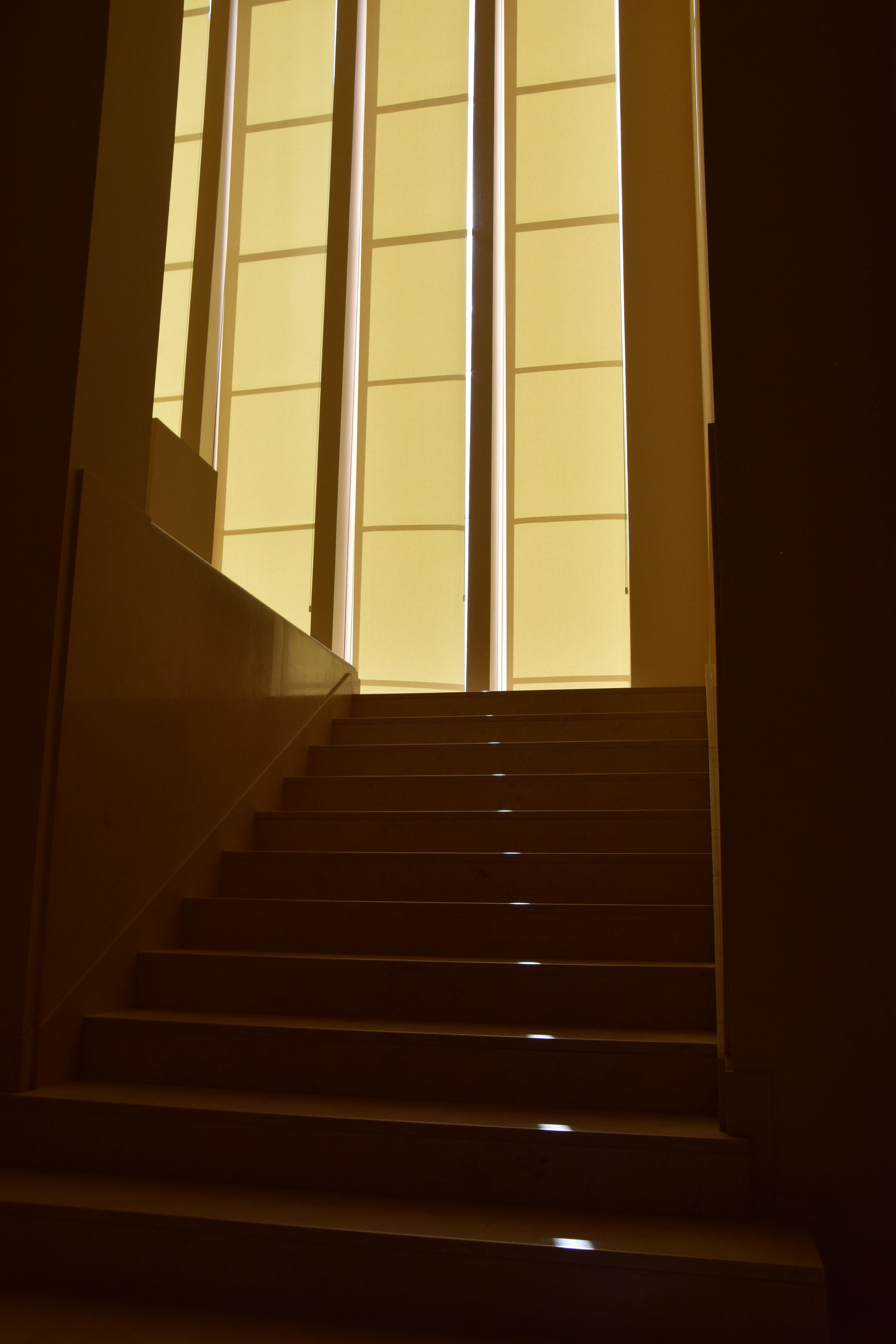 Serralves | 2022