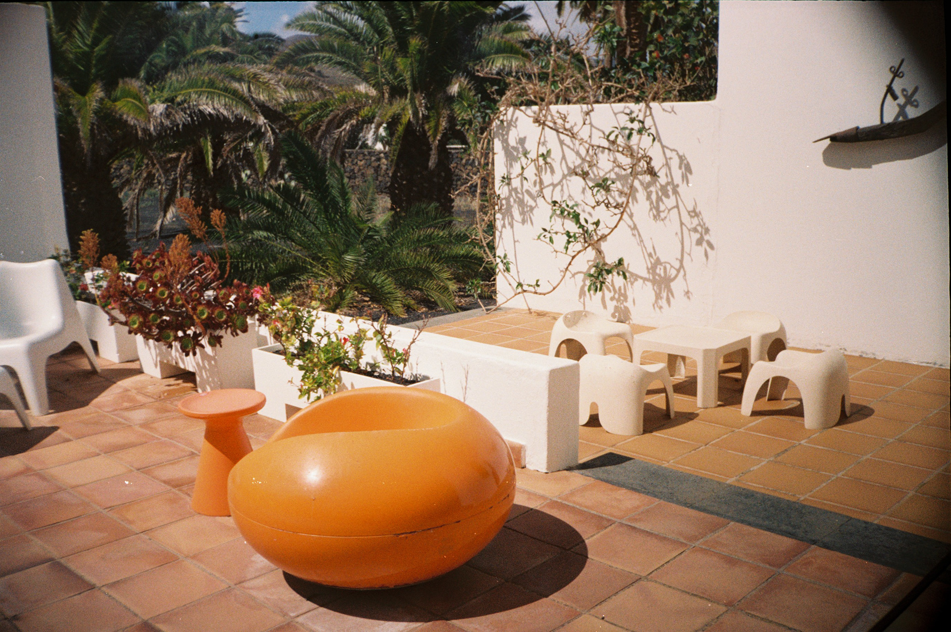 Film 35mm | Lanzarote 2024