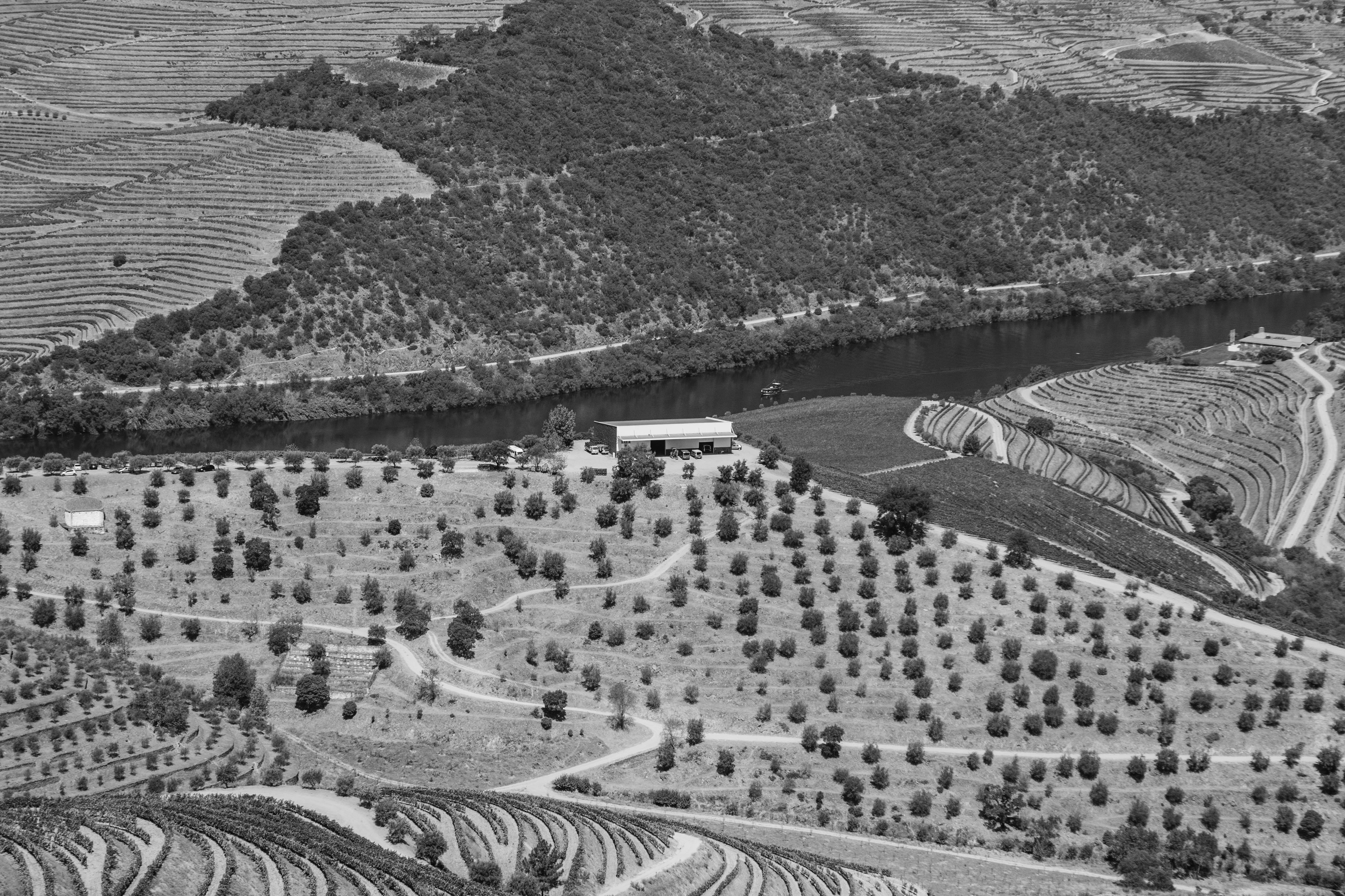 Douro | 2021