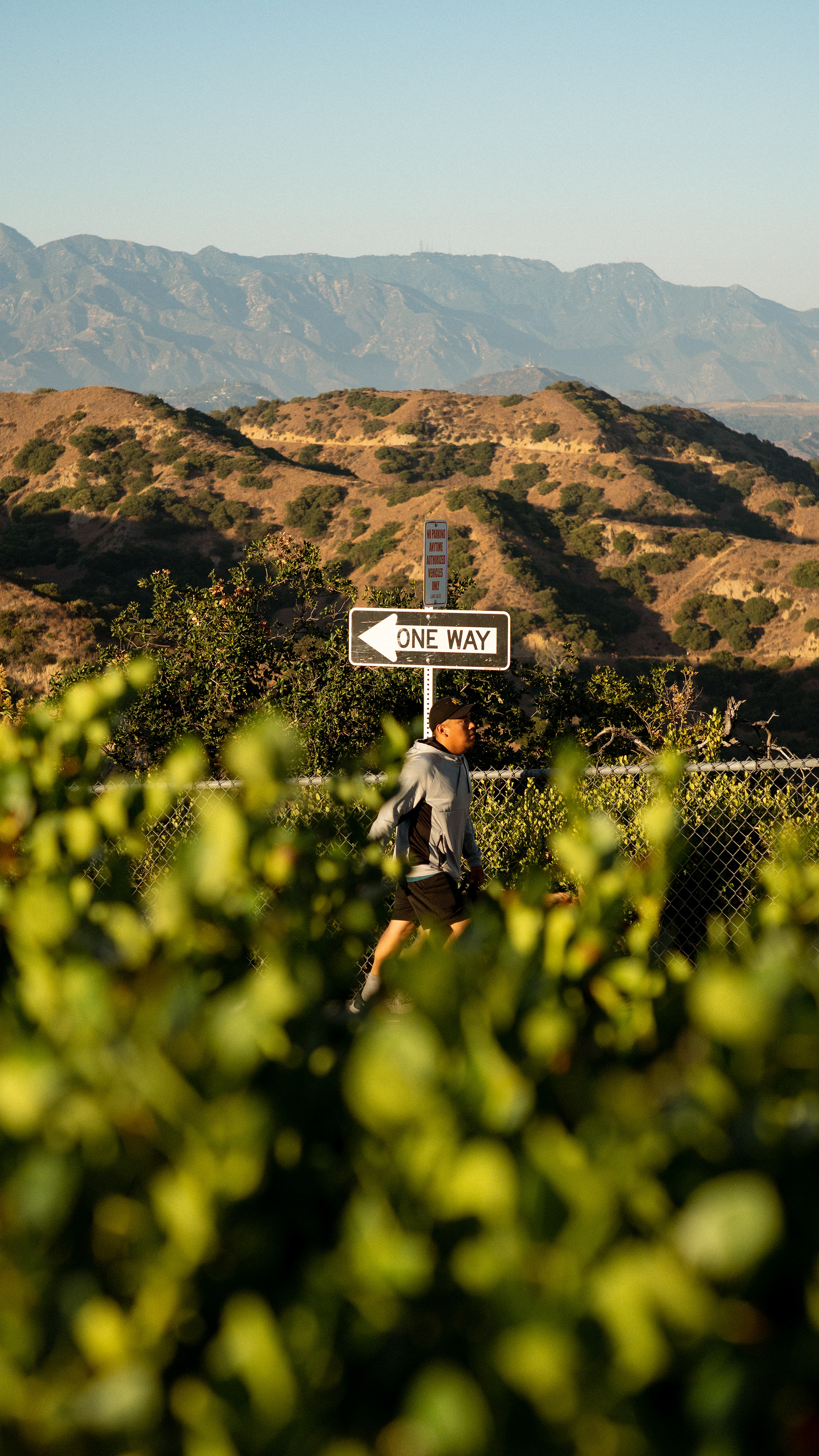 "AGAINST THE STREAM"