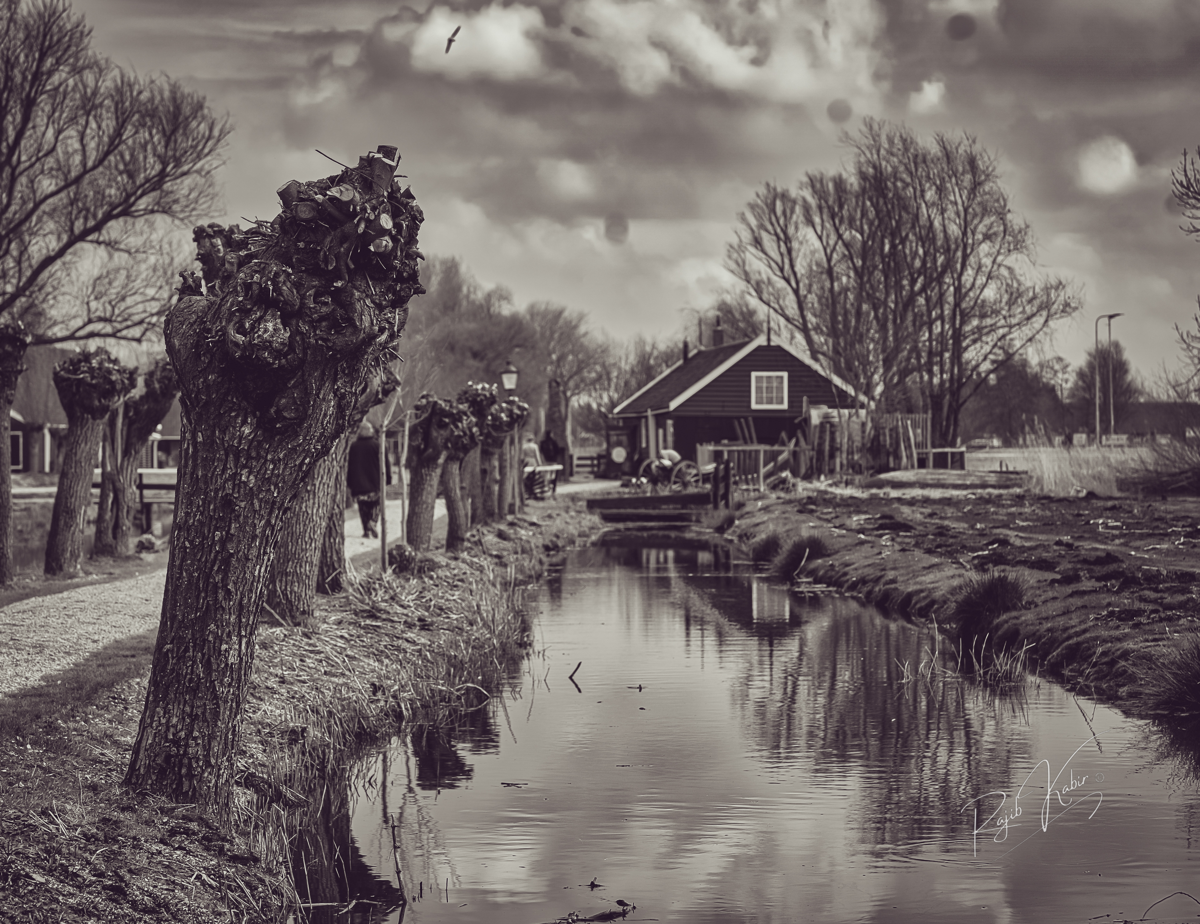 All rights reserved © Rajib Kabir
