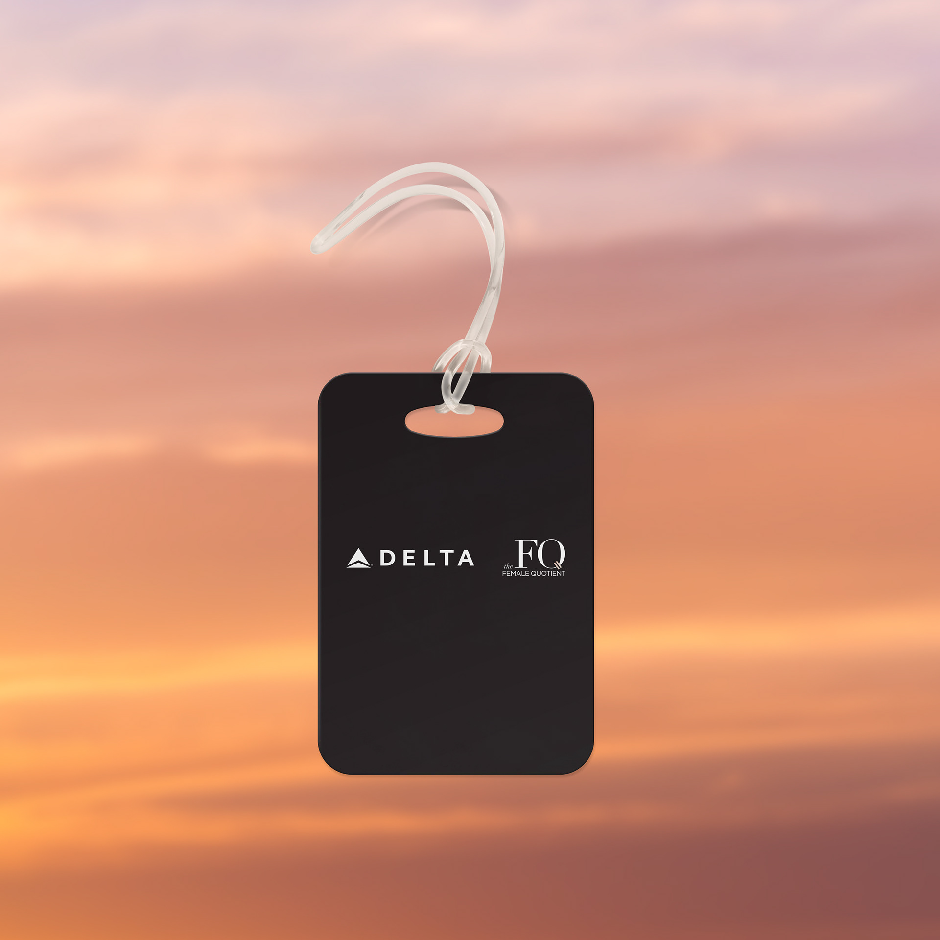 Luggage Tag Mock Up